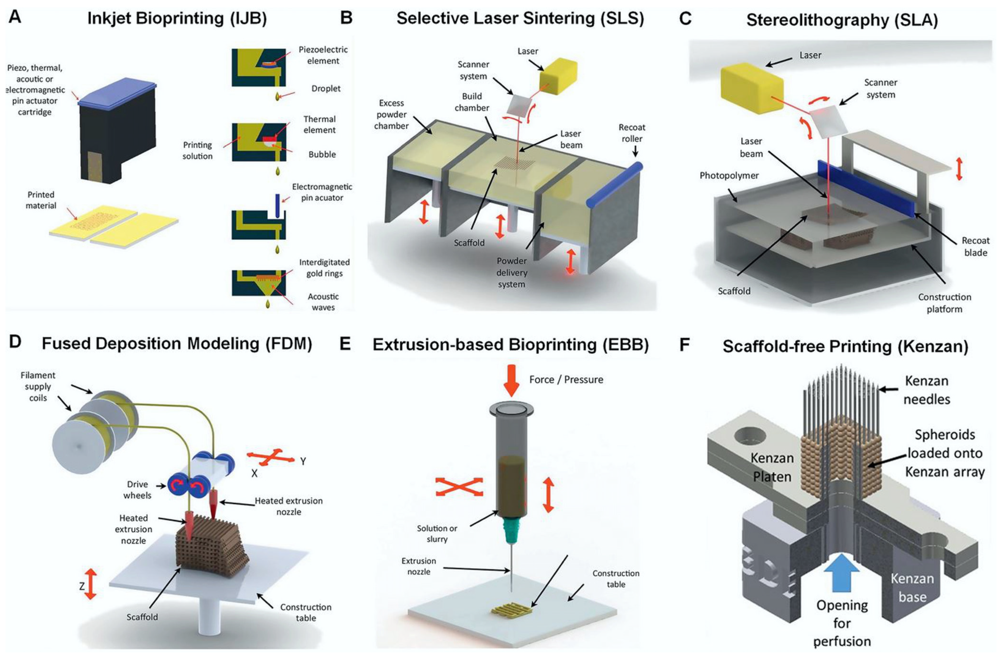Polymers 15 00716 g009 Polymers 15 00716 g009