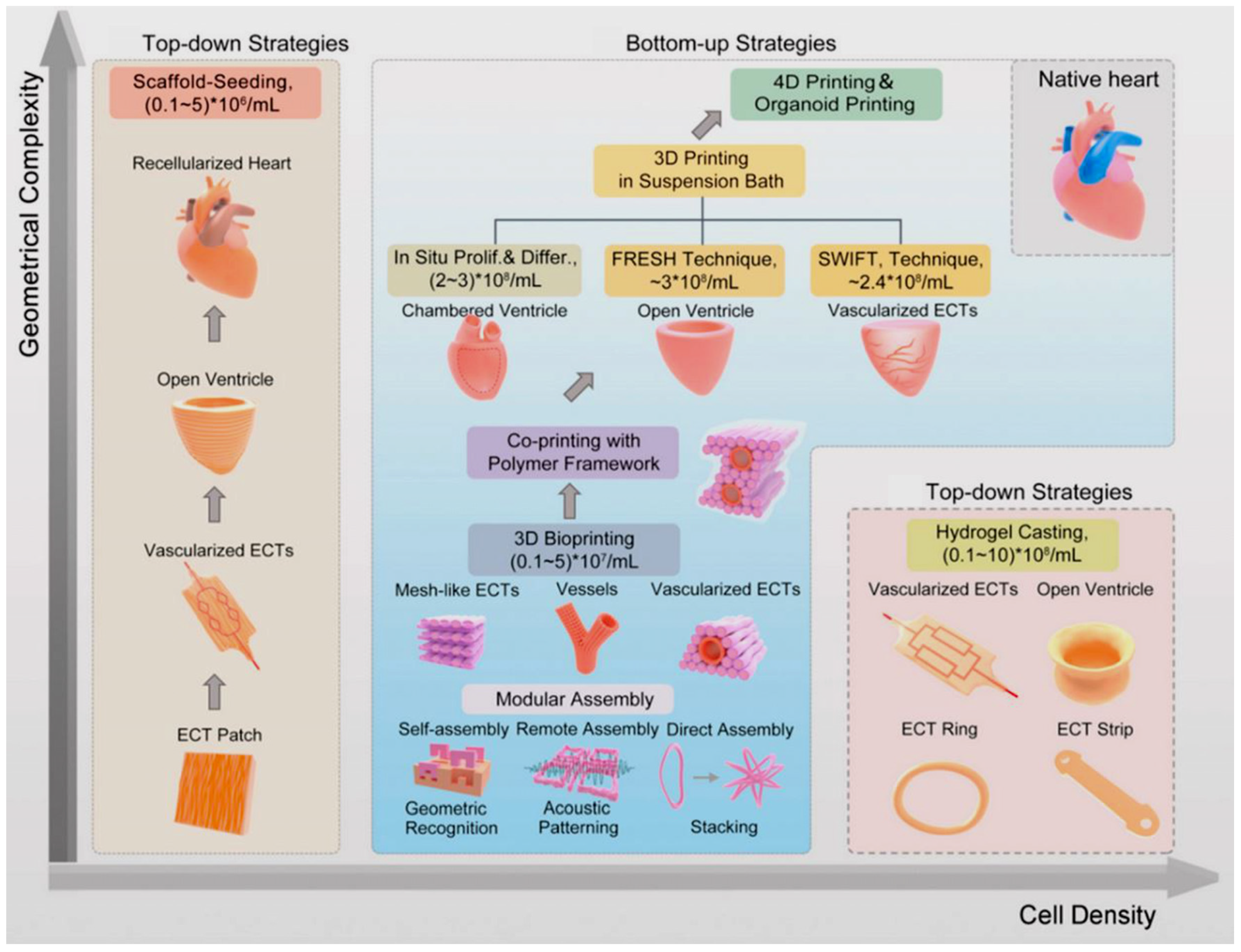 Polymers 15 00716 g010 Polymers 15 00716 g010