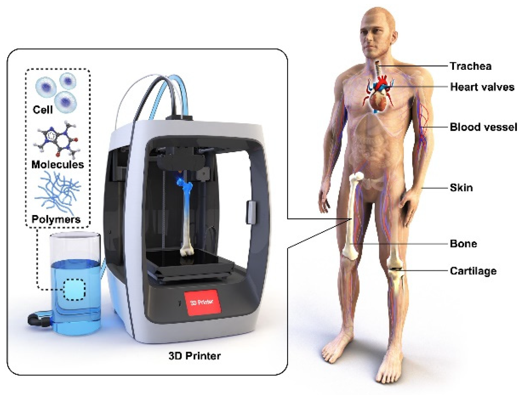 Polymers 15 00716 g028 Polymers 15 00716 g028
