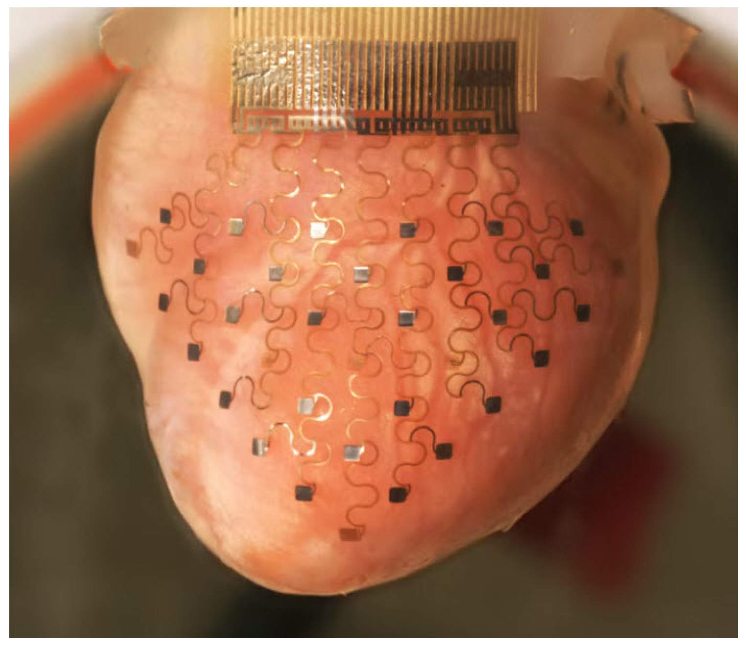 Polymers 15 00716 g031 Polymers 15 00716 g031