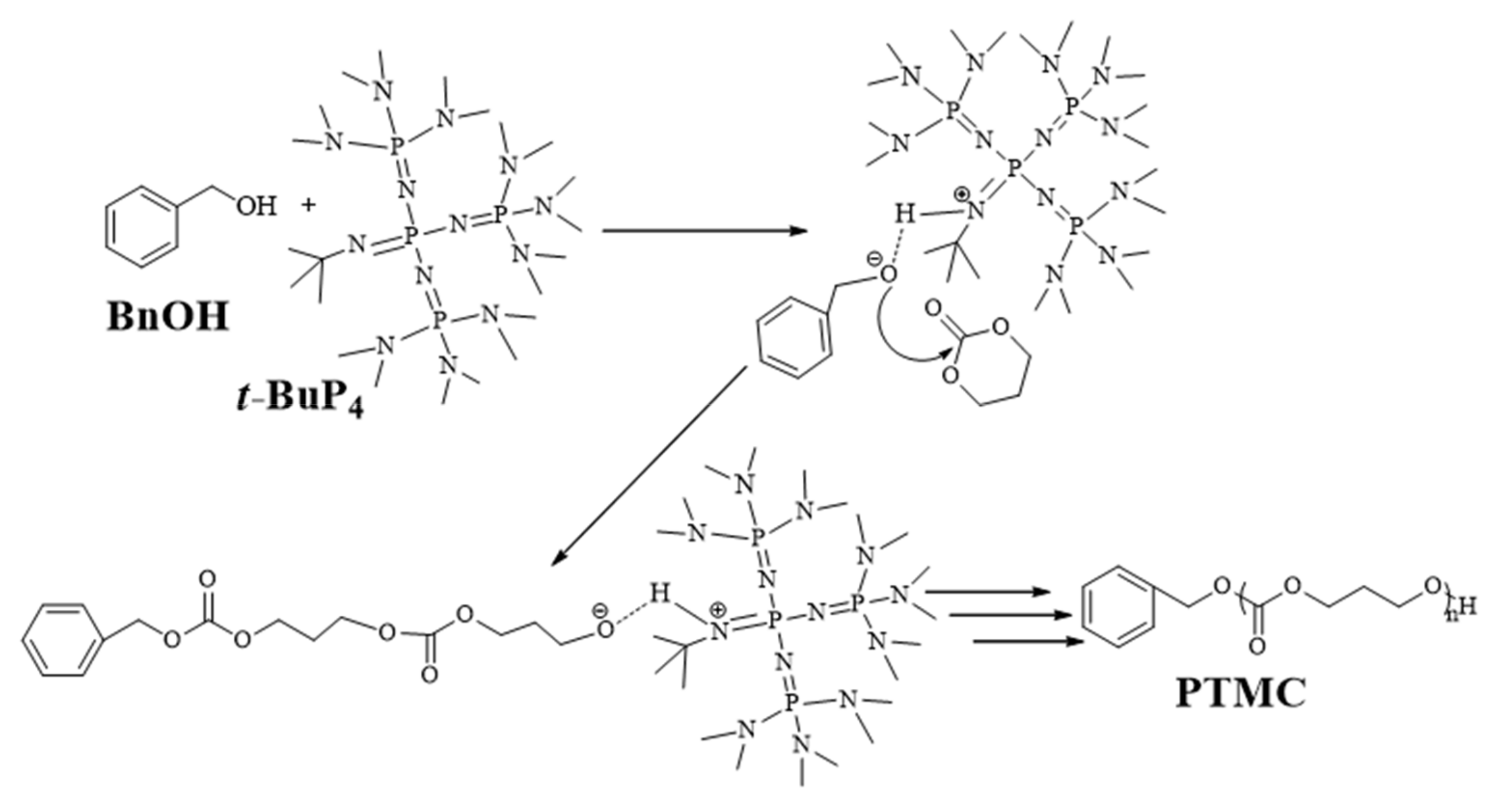 Polymers 15 00720 sch002 Polymers 15 00720 sch002