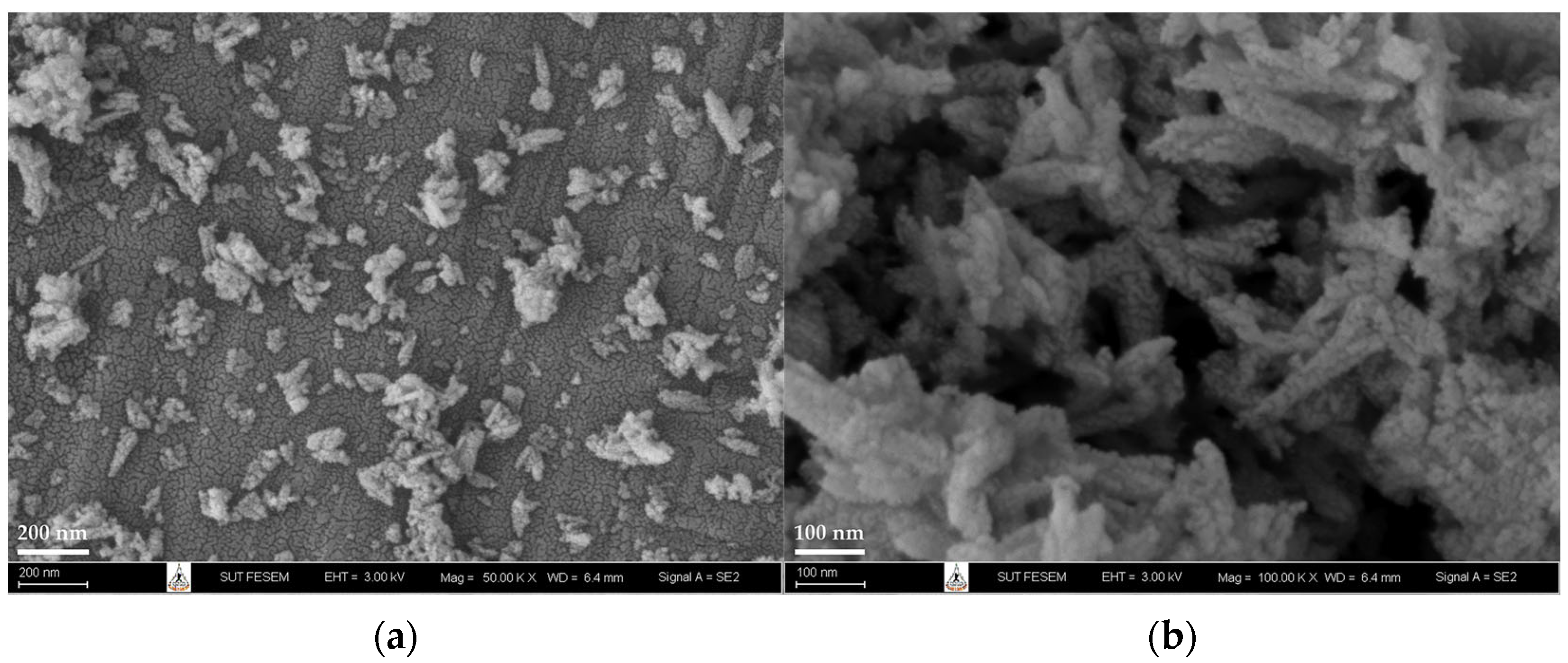 Polymers 15 00729 g005