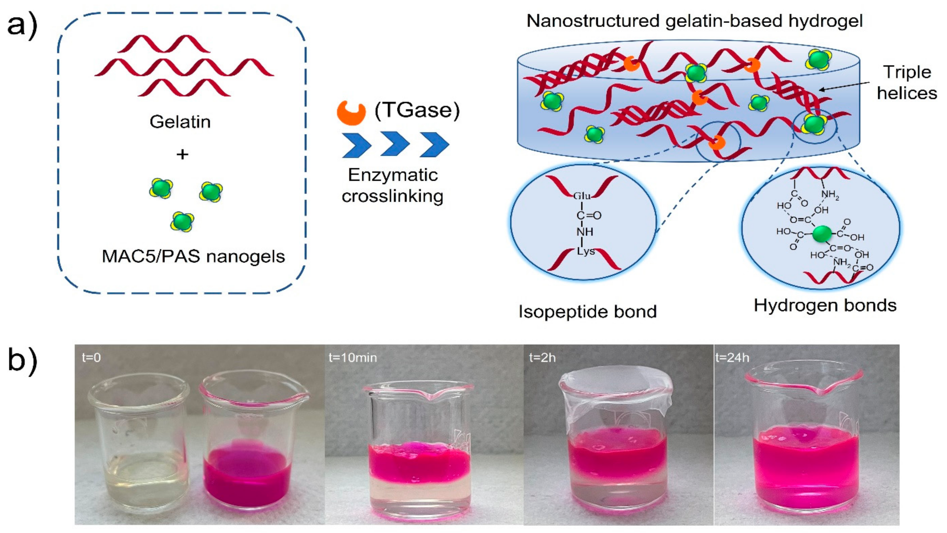 Polymers 15 00780 g004