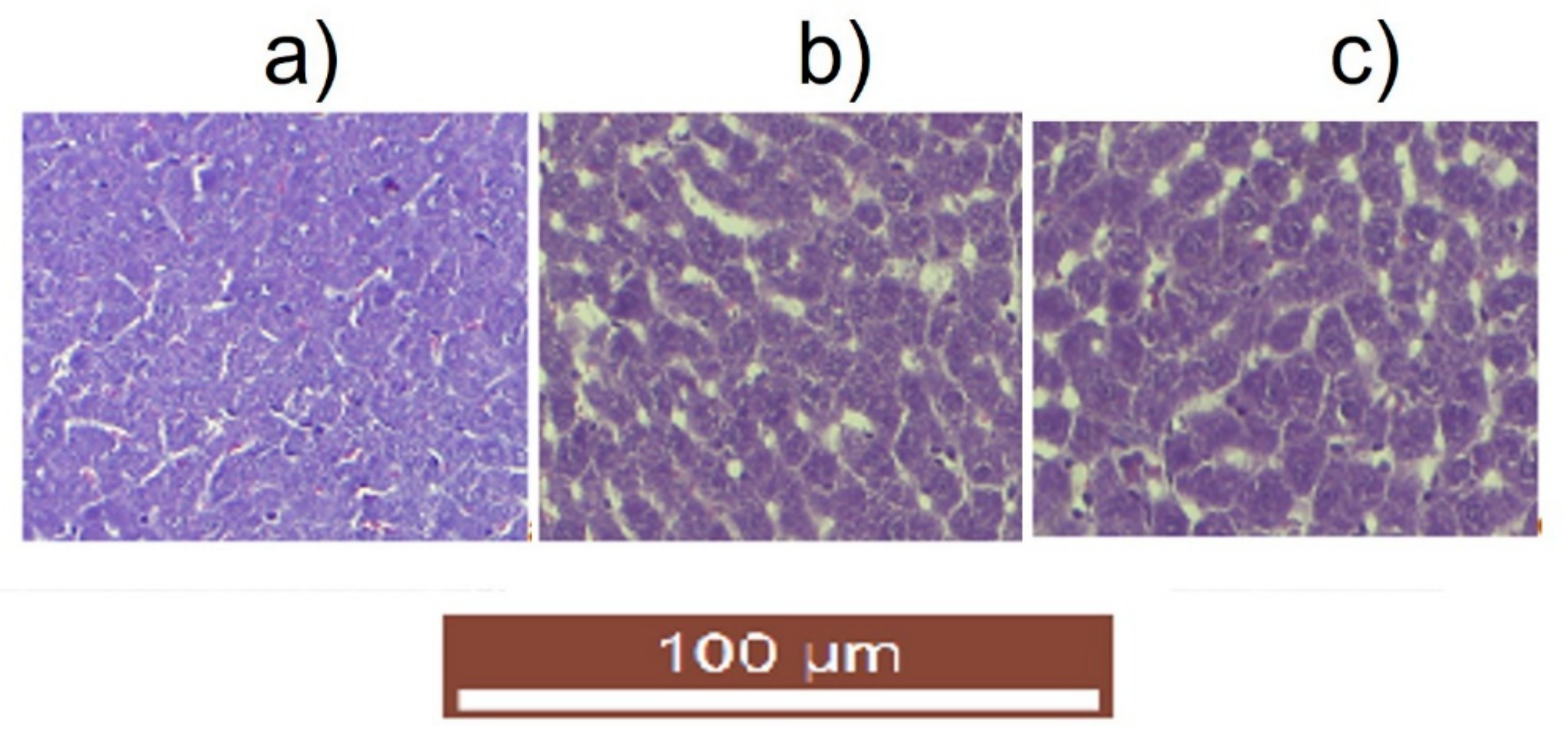 Polymers 15 00780 g013