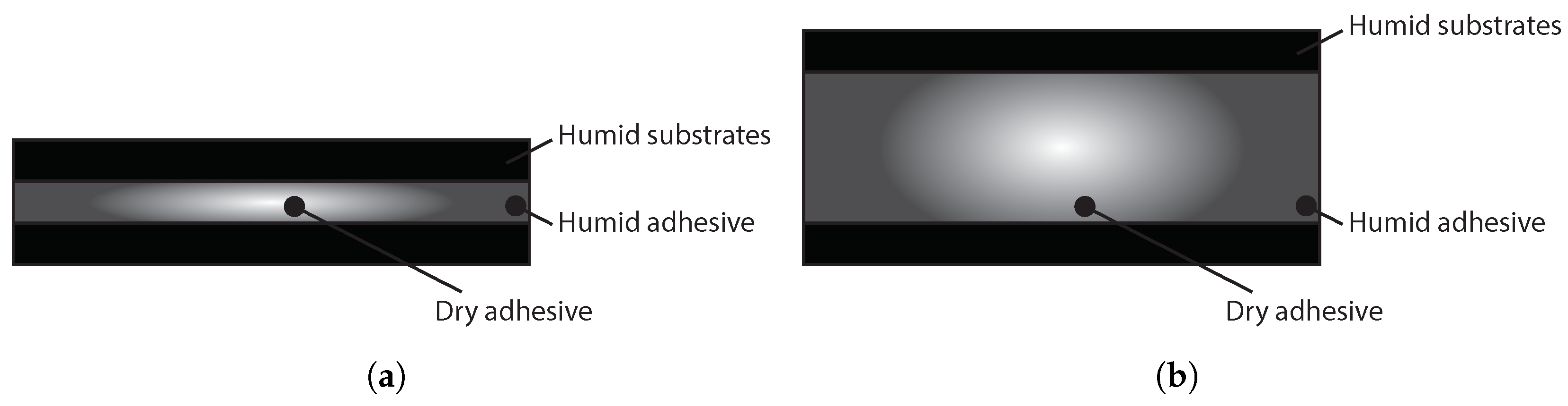 Polymers 15 00788 g013