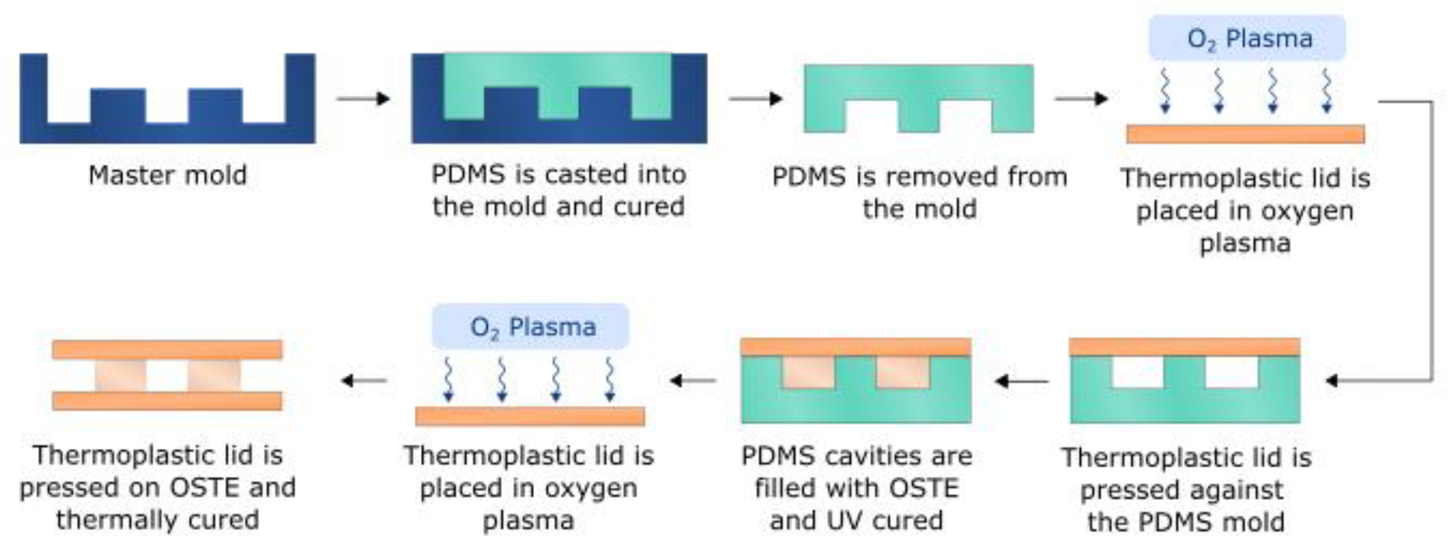 Polymers 15 00789 g002