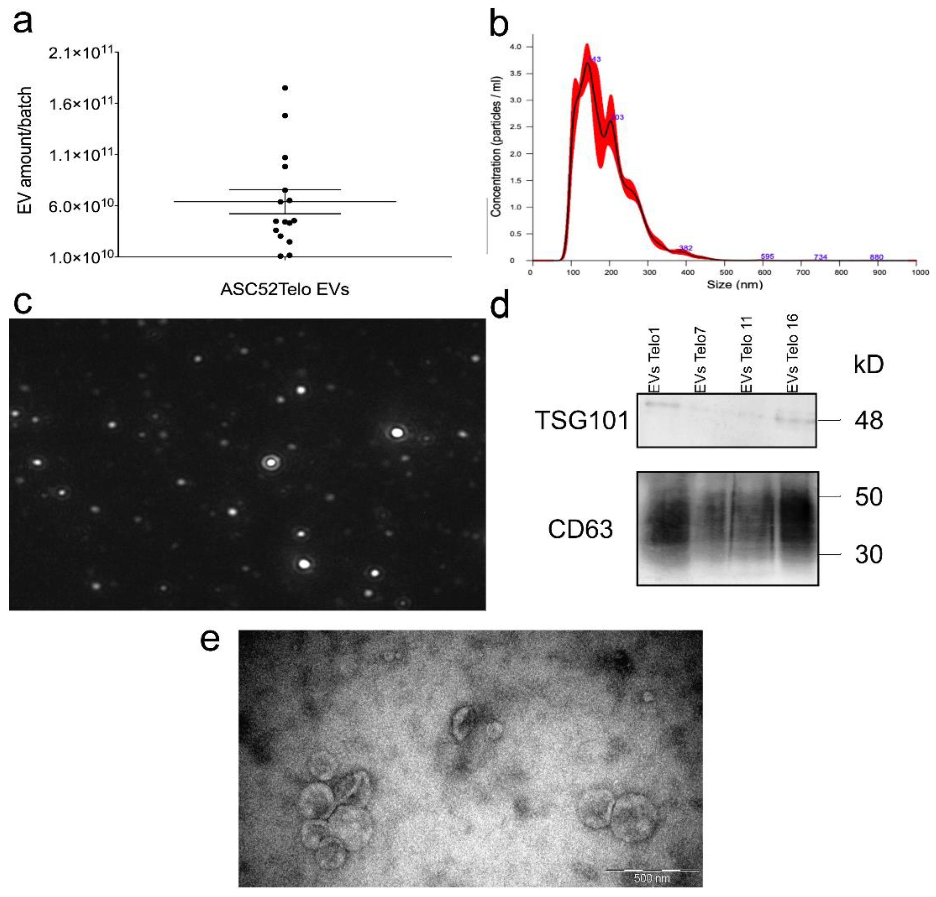 Polymers 15 00789 g006