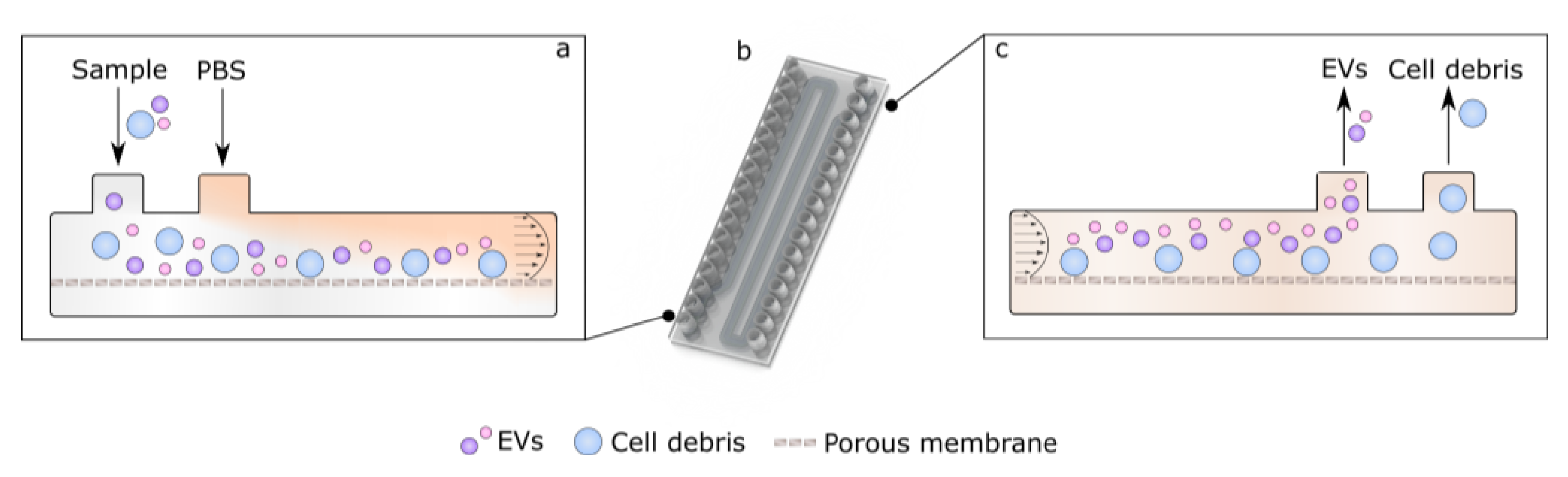 Polymers 15 00789 g008