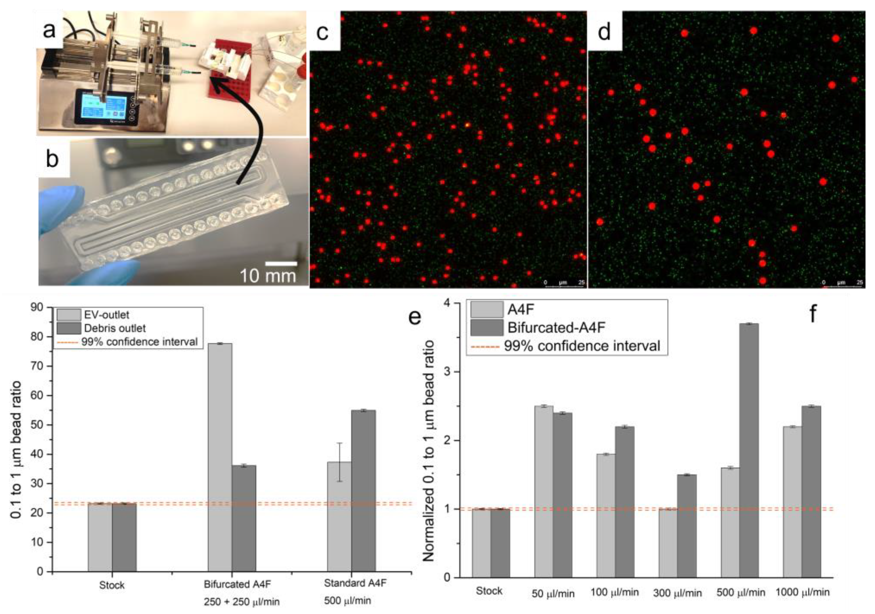 Polymers 15 00789 g009