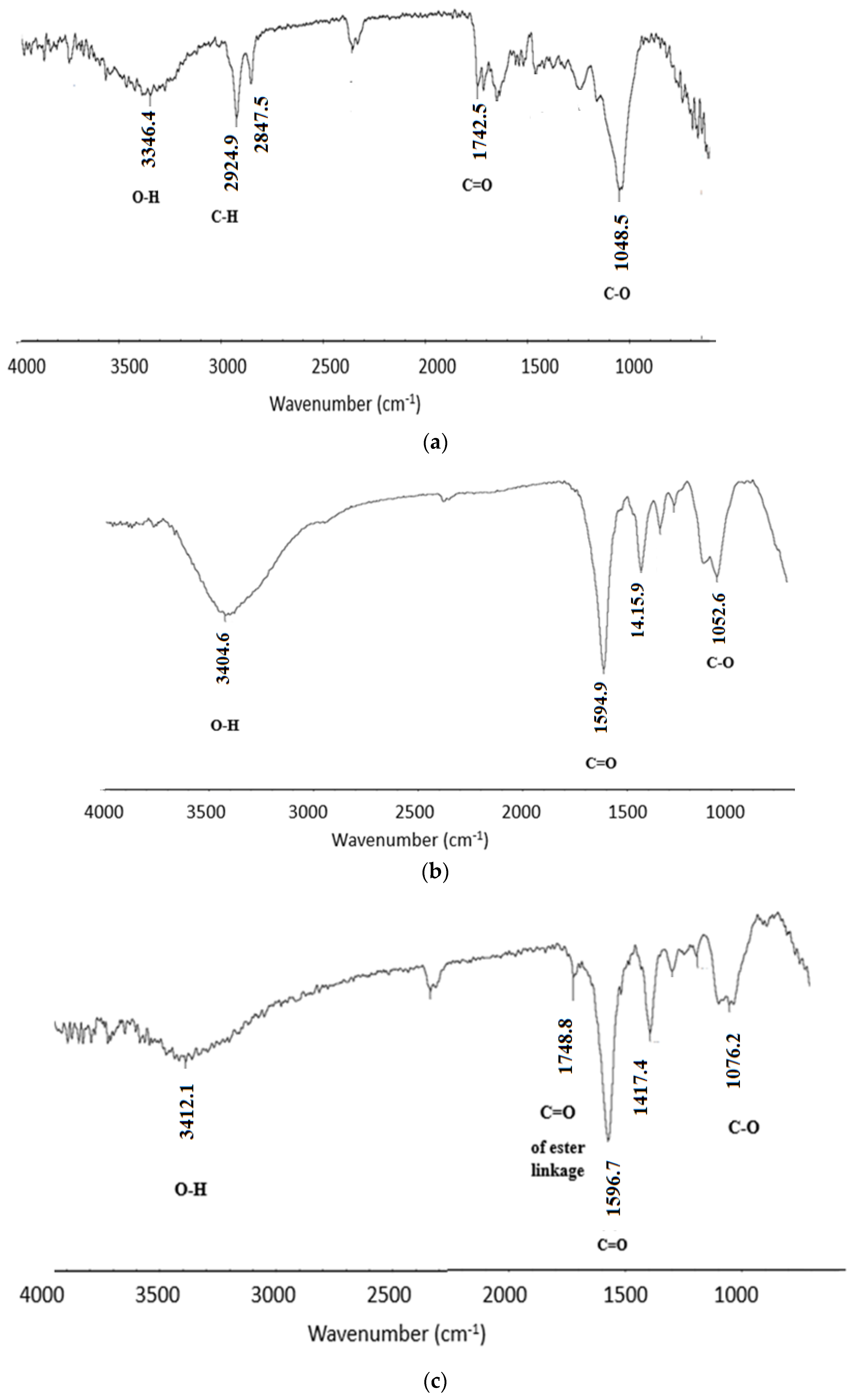 Polymers 15 00797 g004