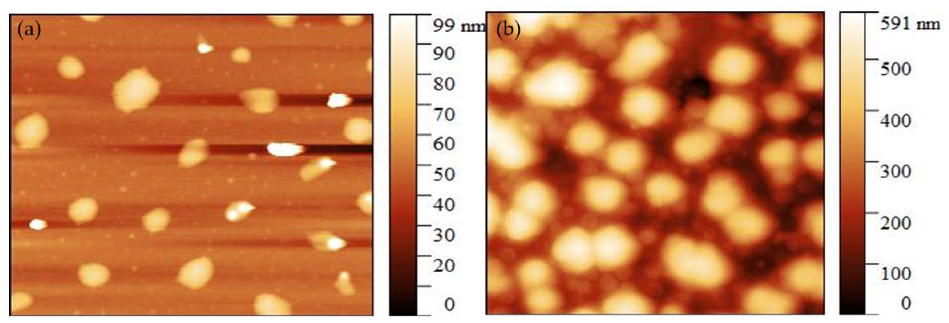 Polymers 15 00797 g005