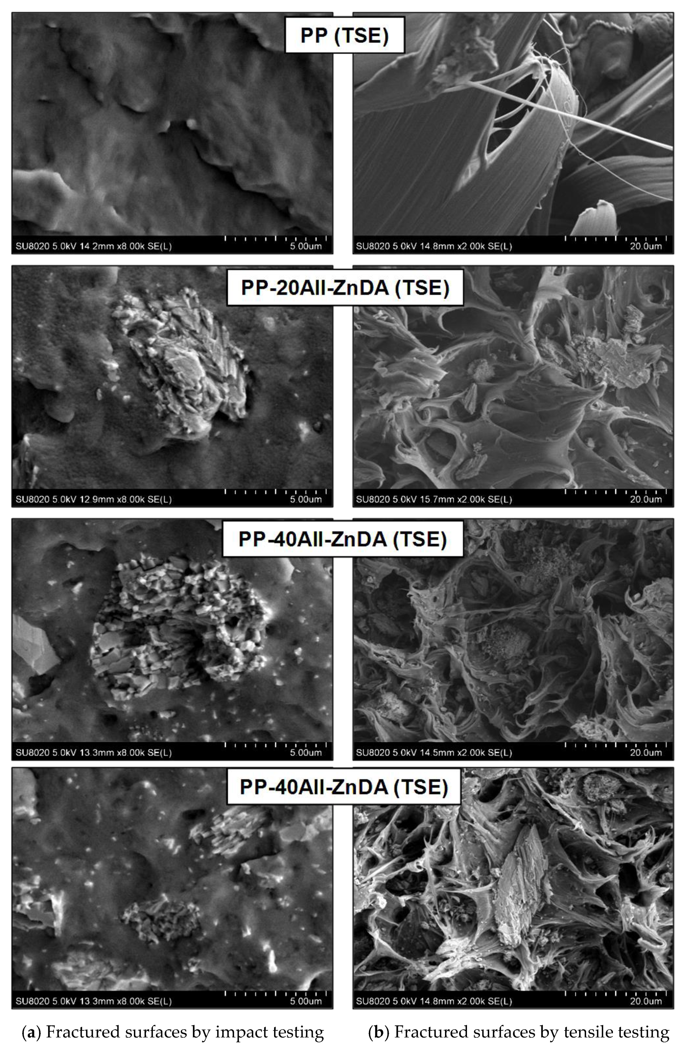 Polymers 15 00799 g011 Polymers 15 00799 g011