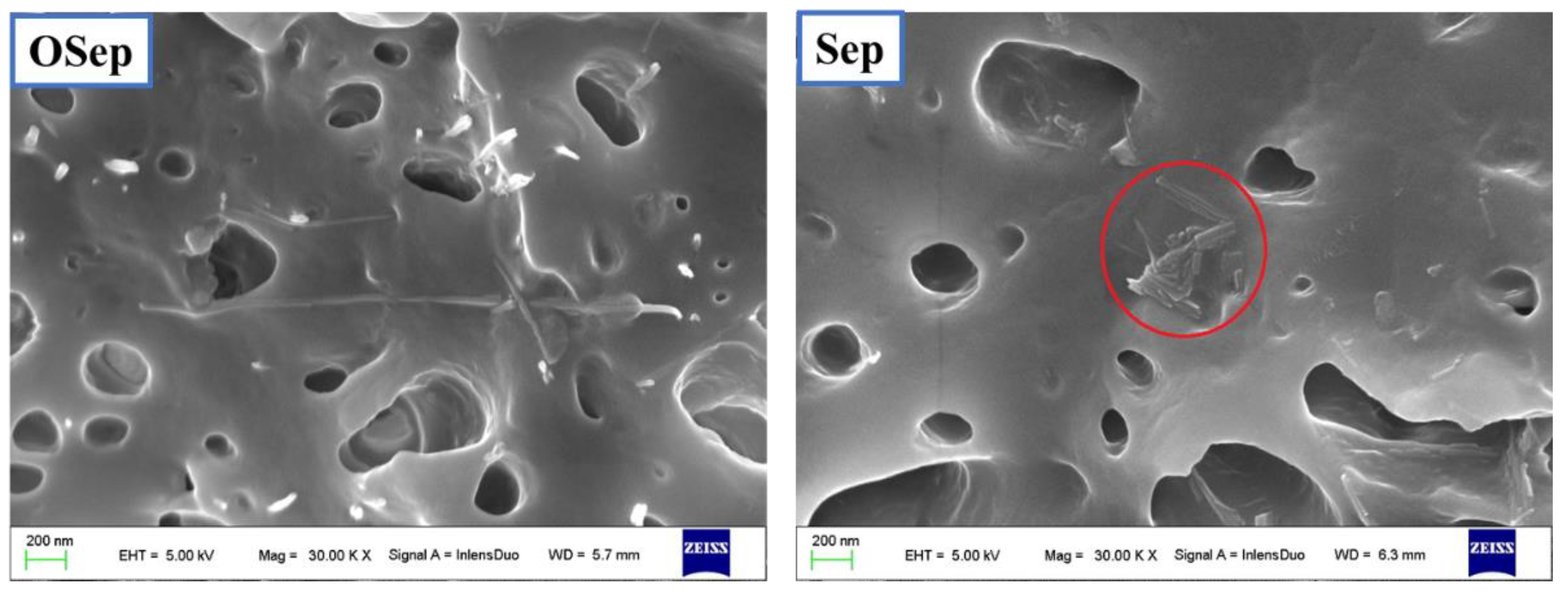 Polymers 15 00802 g003