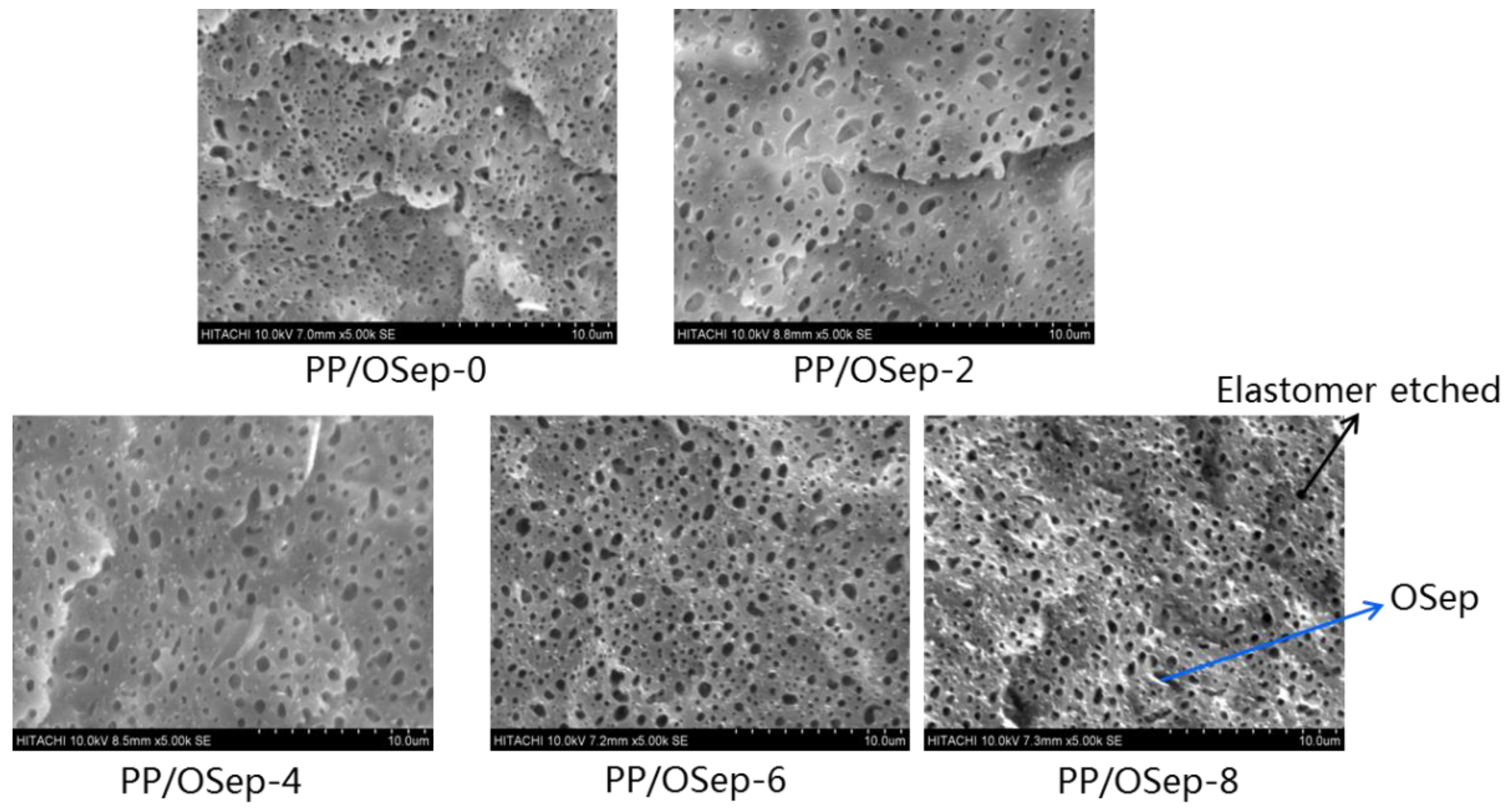 Polymers 15 00802 g004