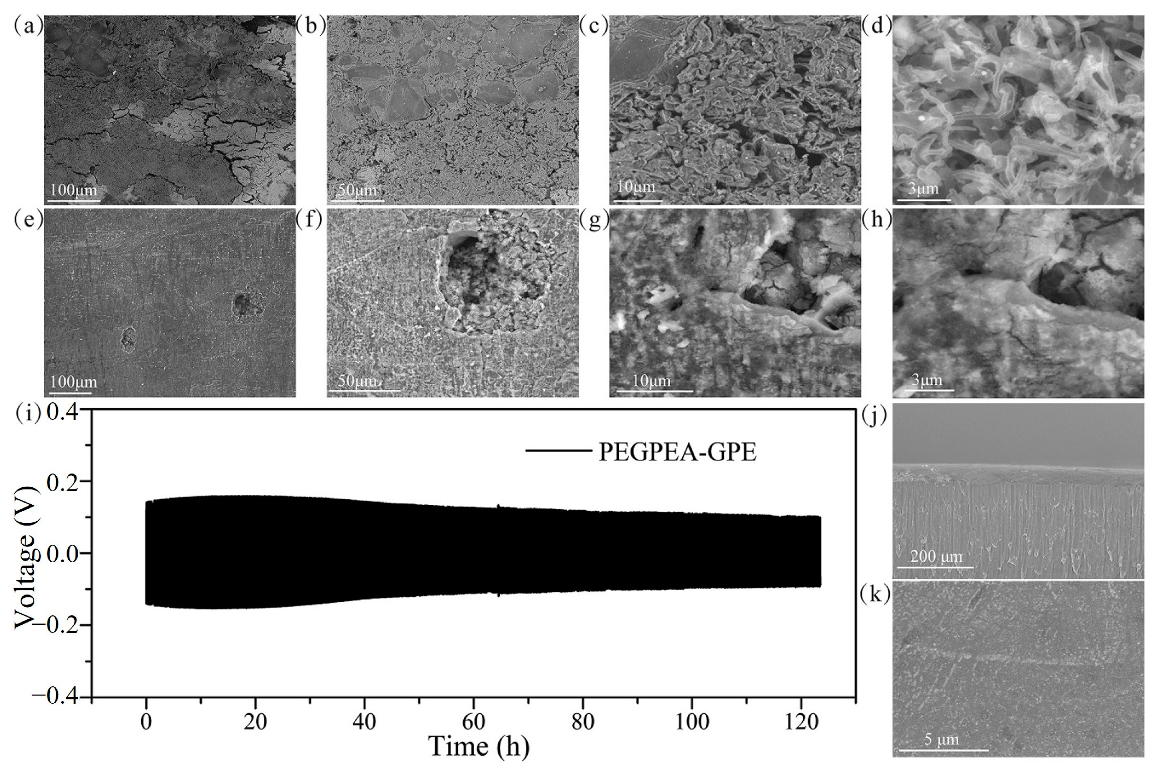 Polymers 15 00803 g003