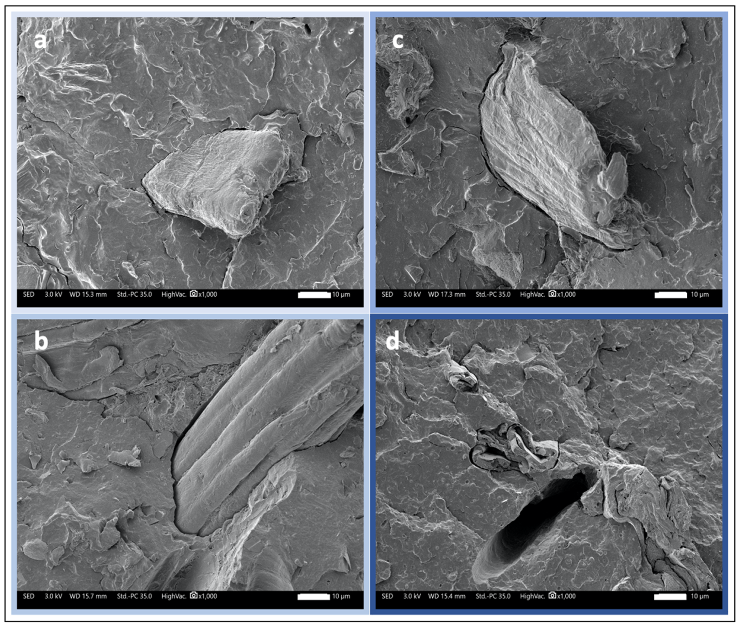 Polymers 15 00820 g008