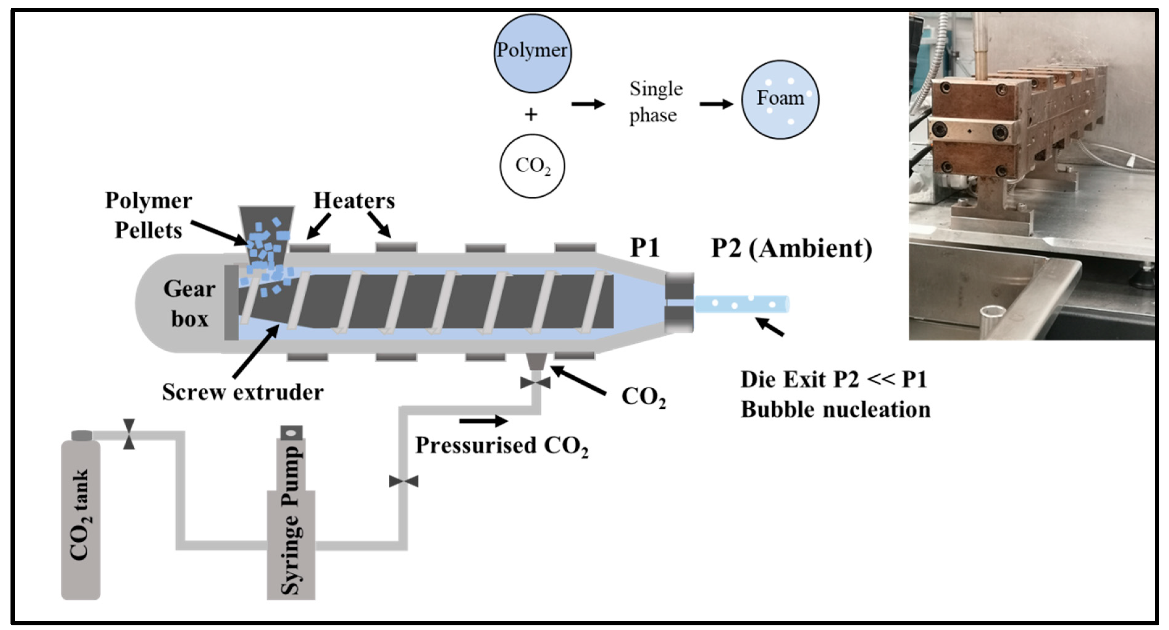 Polymers 15 00822 g002