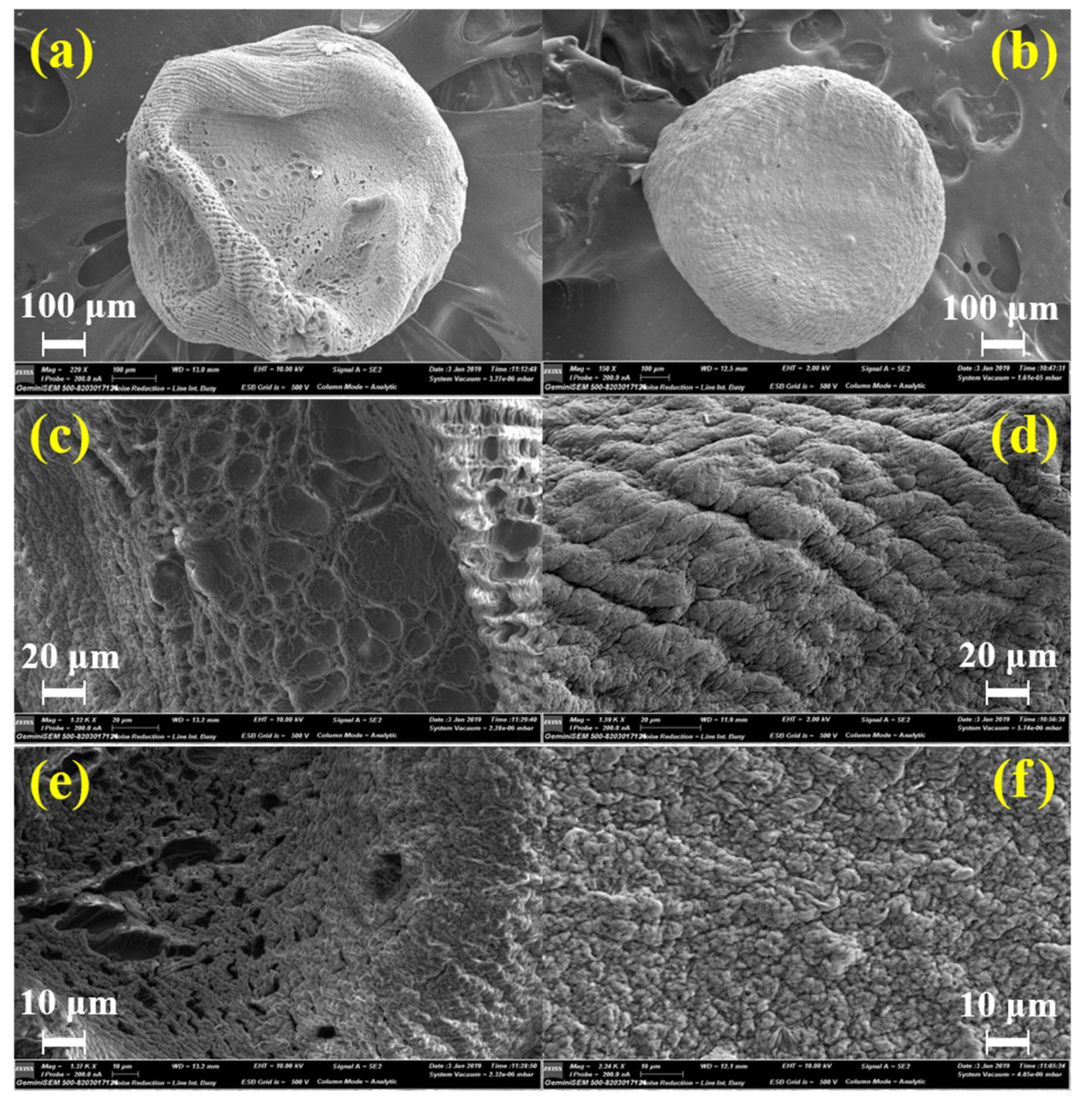 Polymers 15 00823 g005