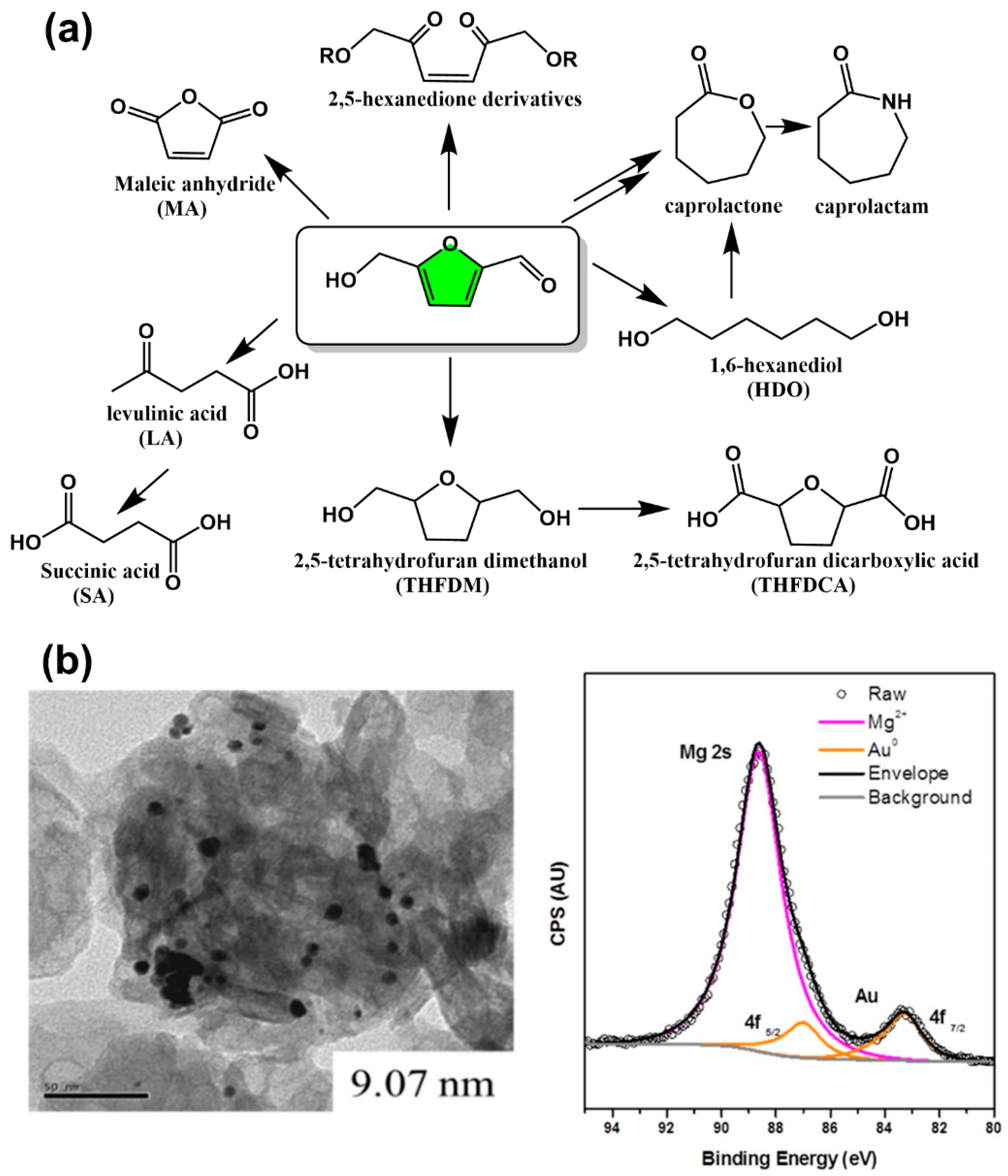 Polymers 15 00829 g004 Polymers 15 00829 g004