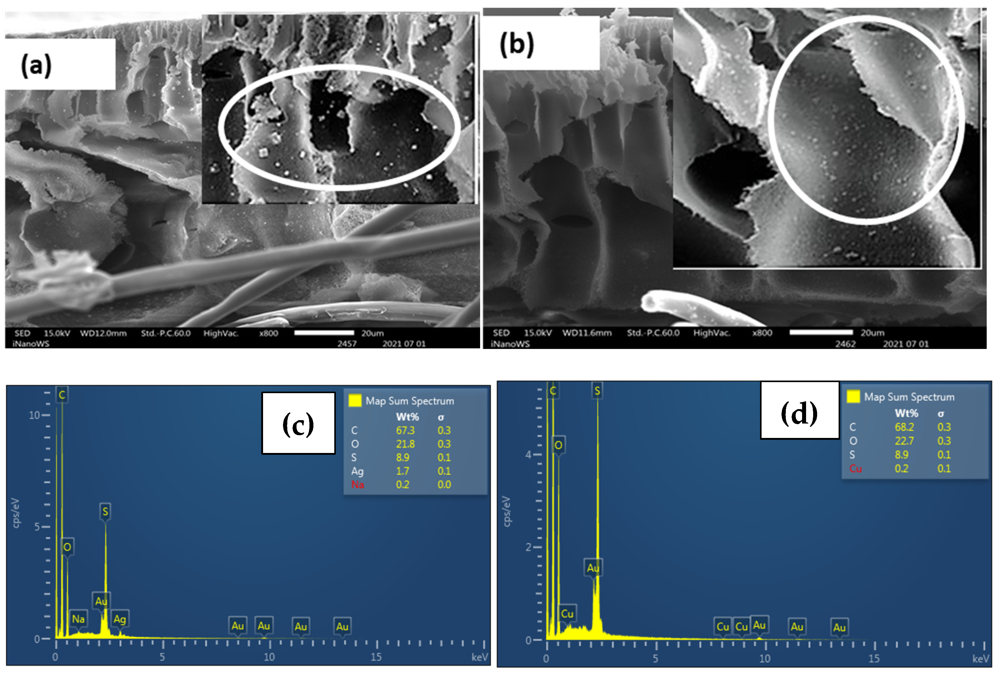 Polymers 15 00843 g001
