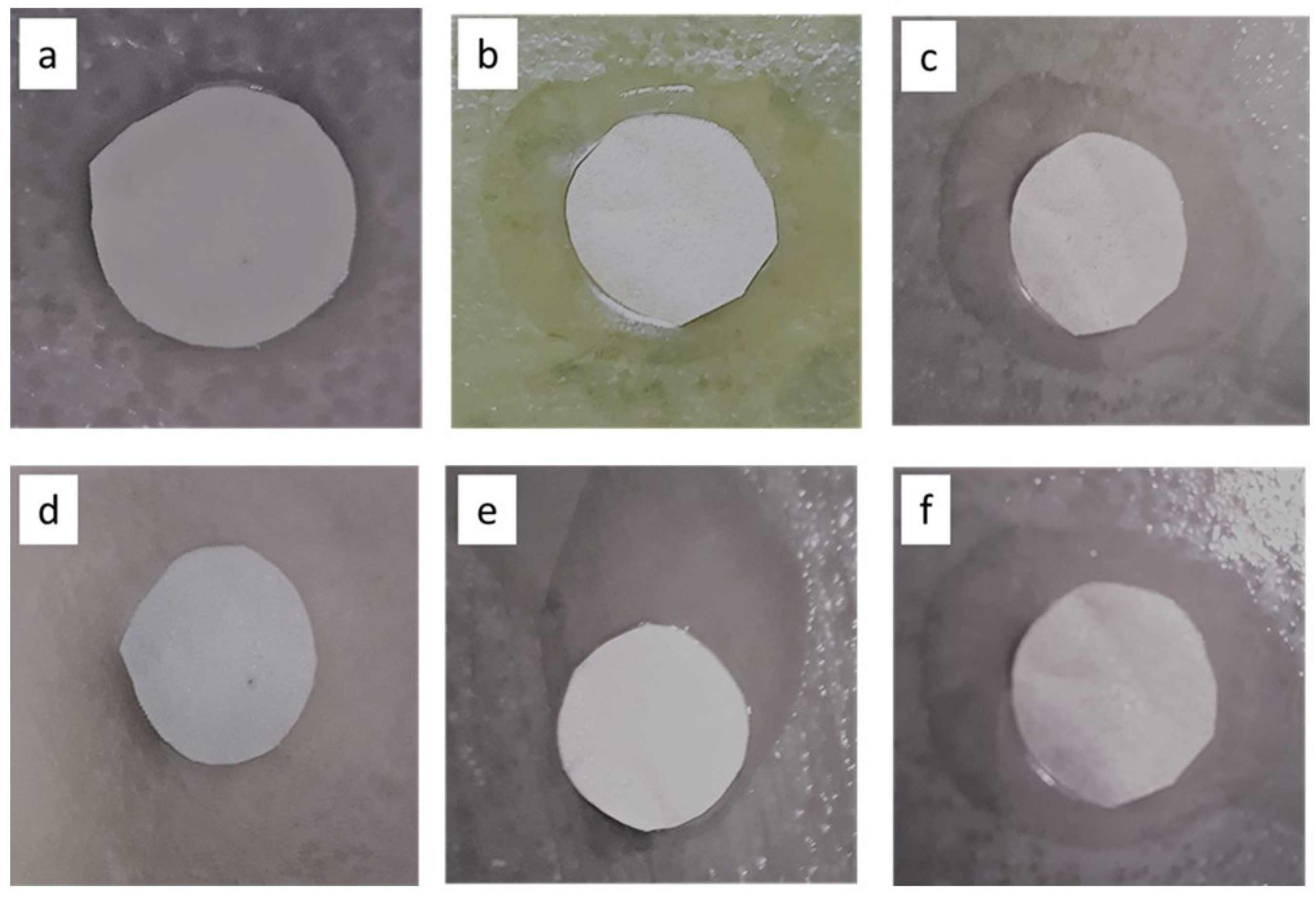 Polymers 15 00843 g010