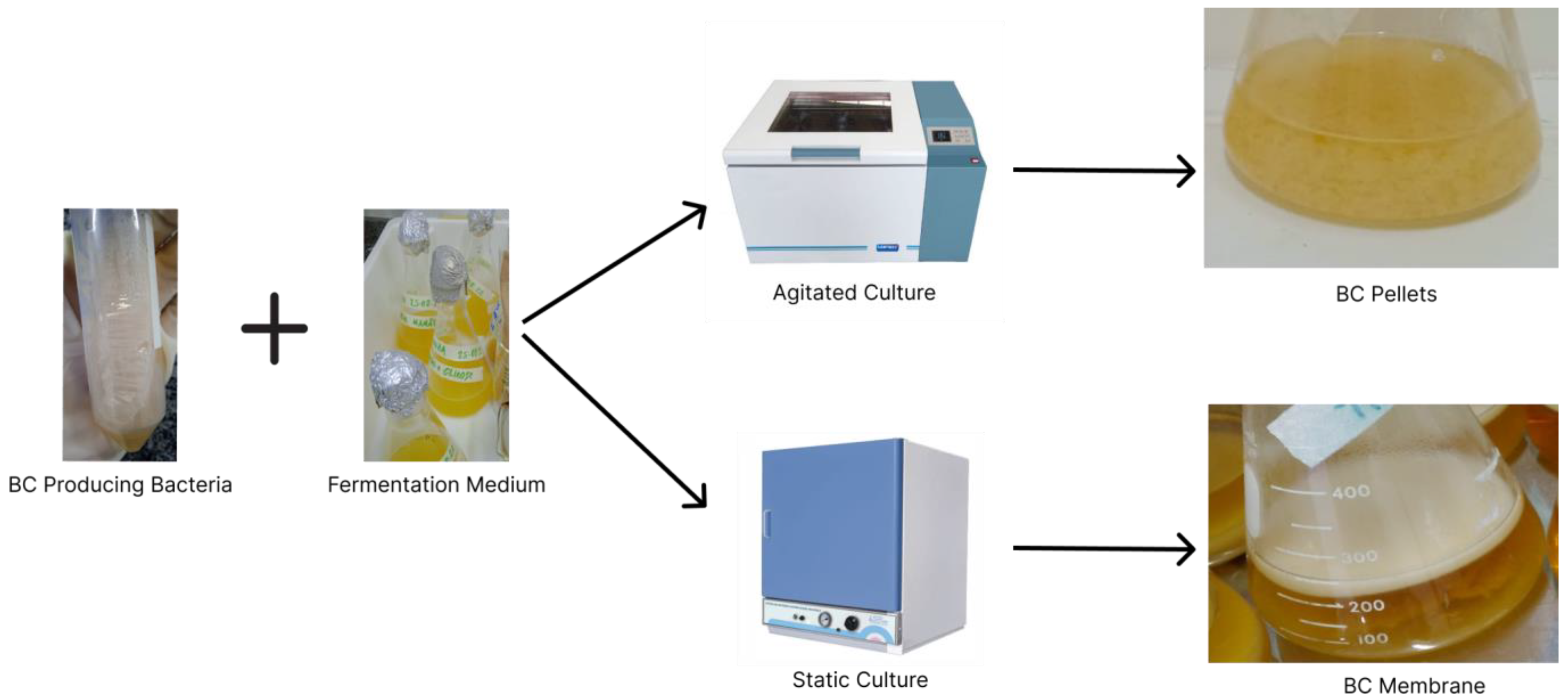 Polymers 15 00853 g002