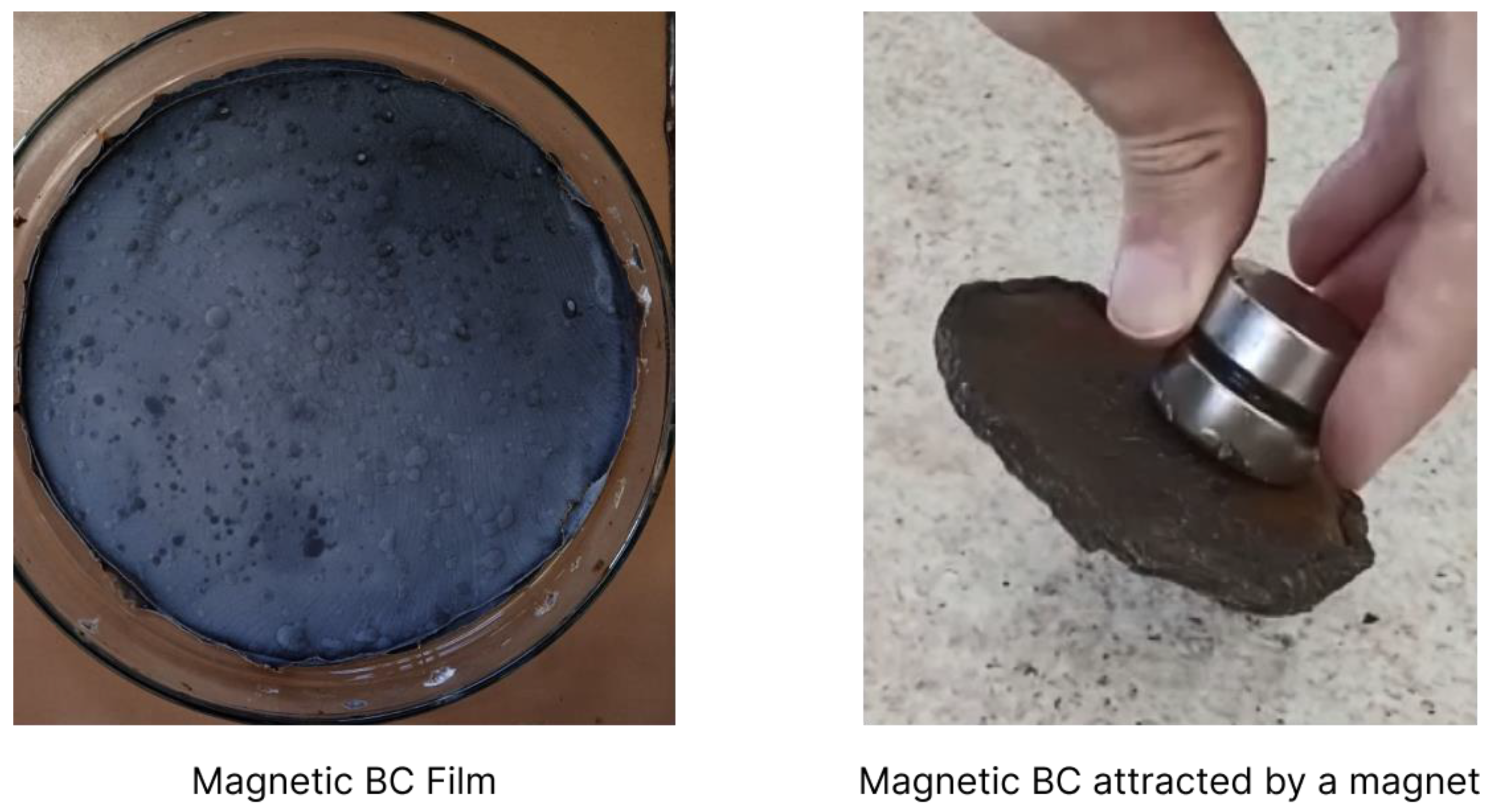 Polymers 15 00853 g003