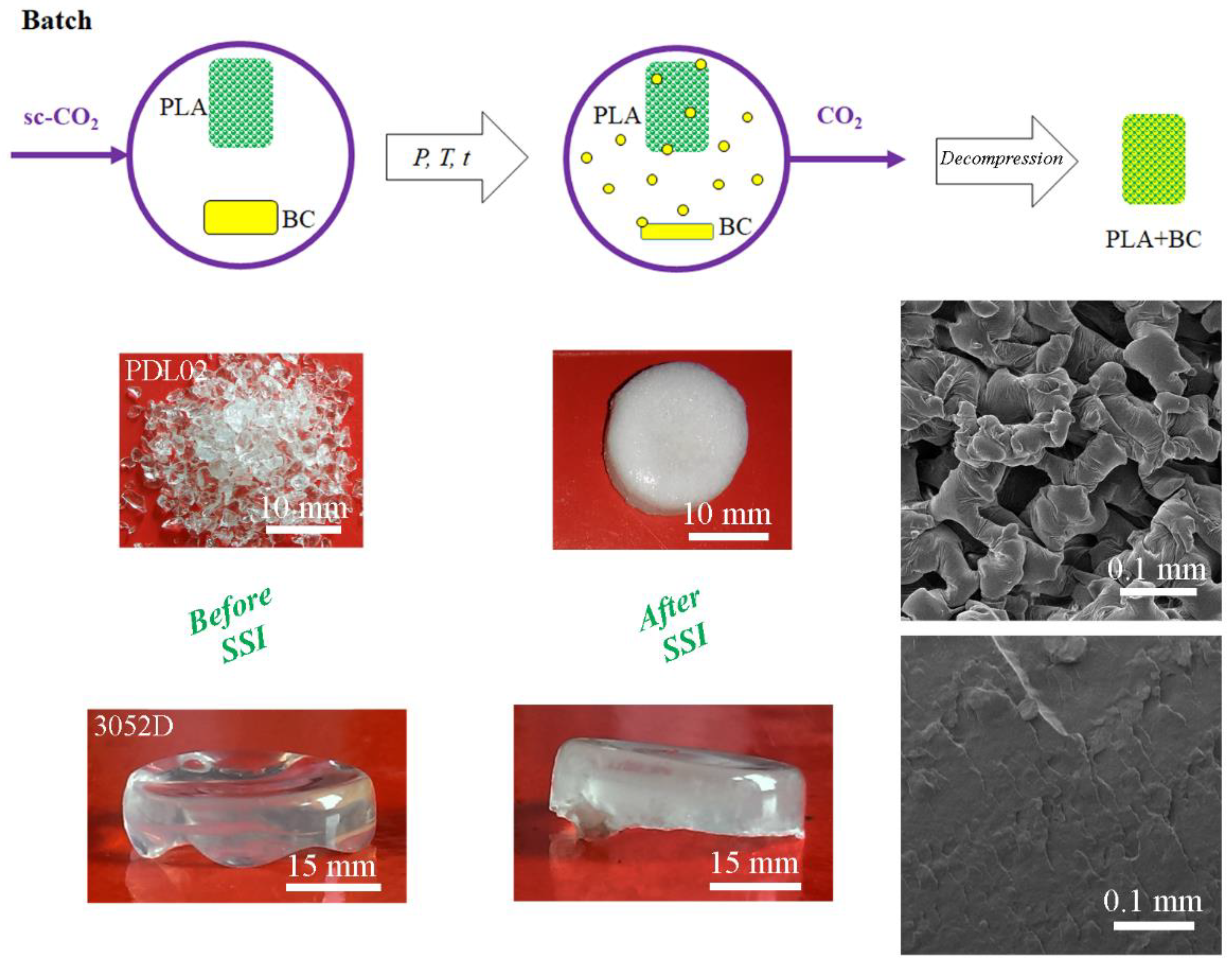 Polymers 15 00860 g005