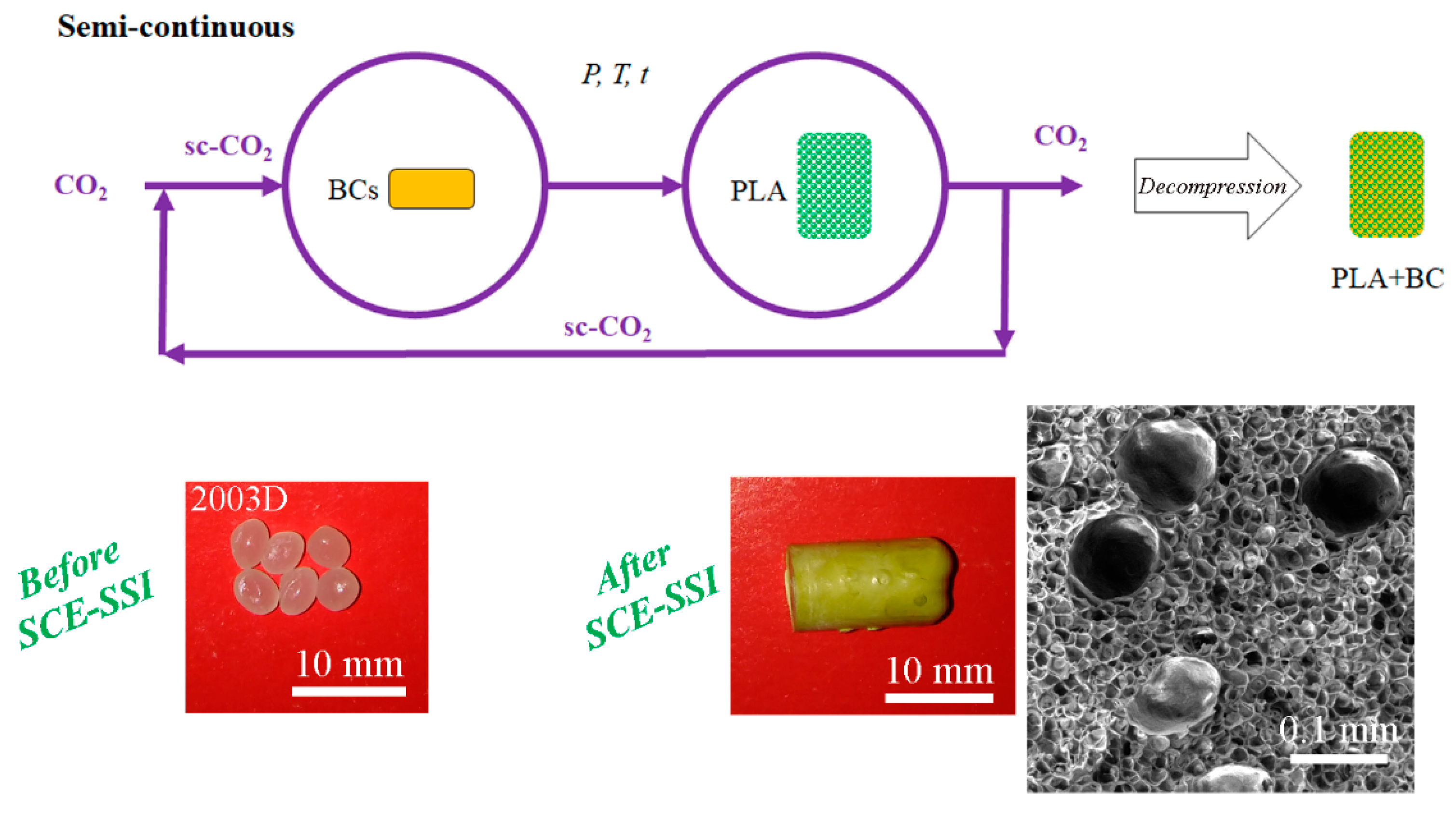 Polymers 15 00860 g007