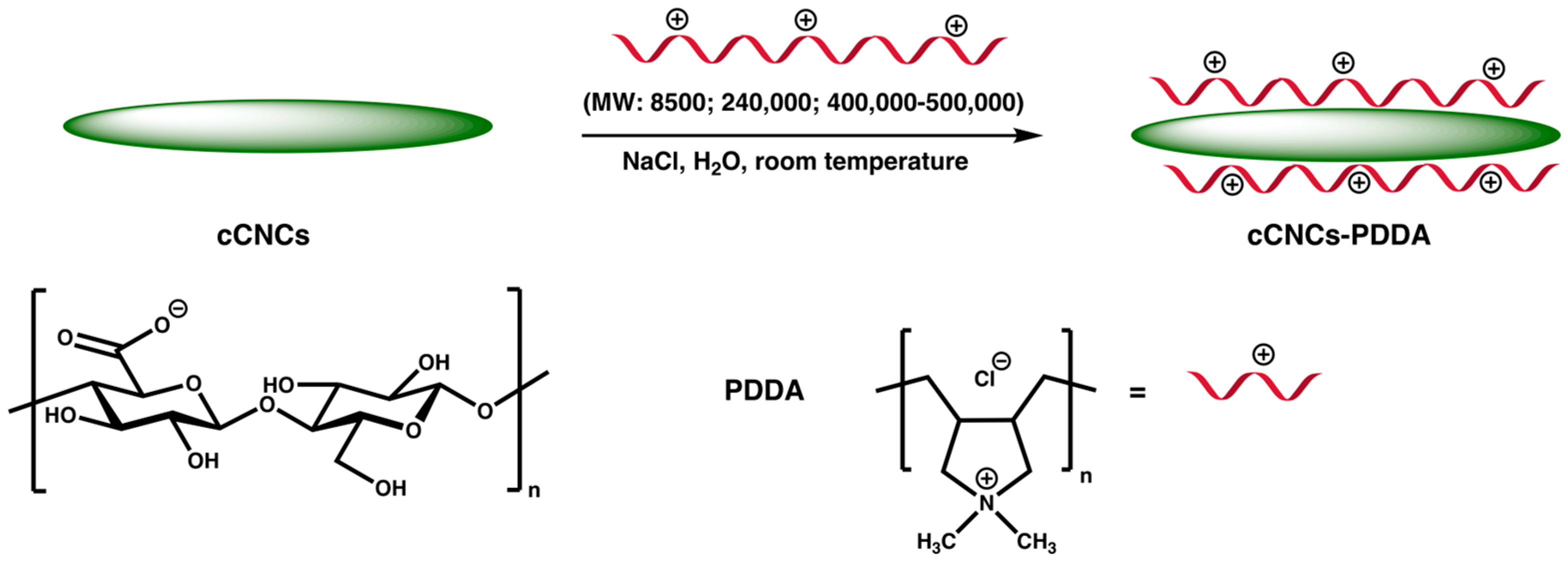 Polymers 15 00865 g001