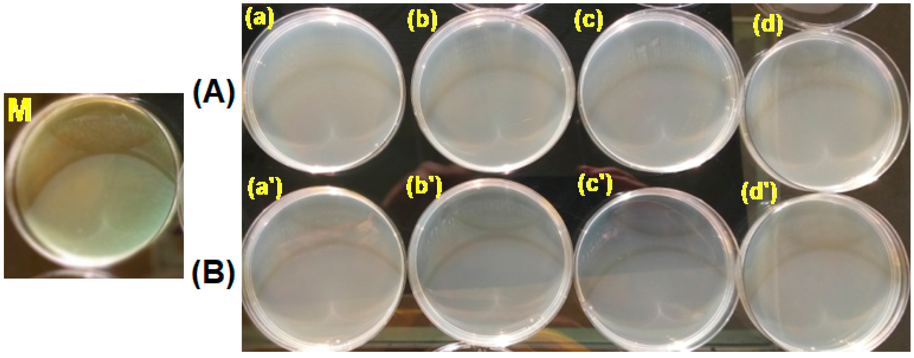 Polymers 15 00877 g014