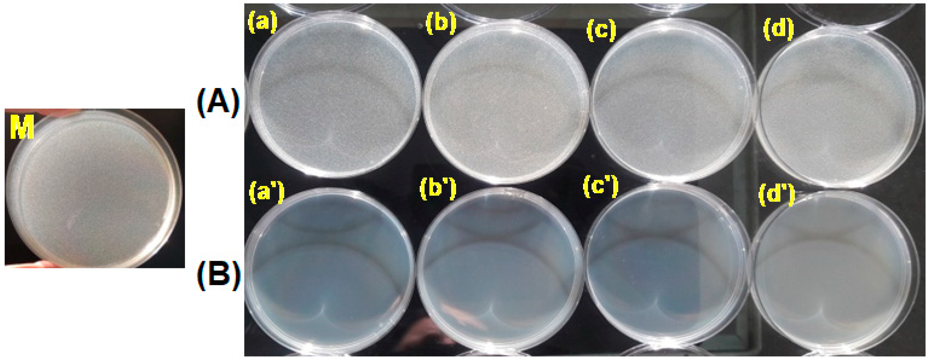 Polymers 15 00877 g015