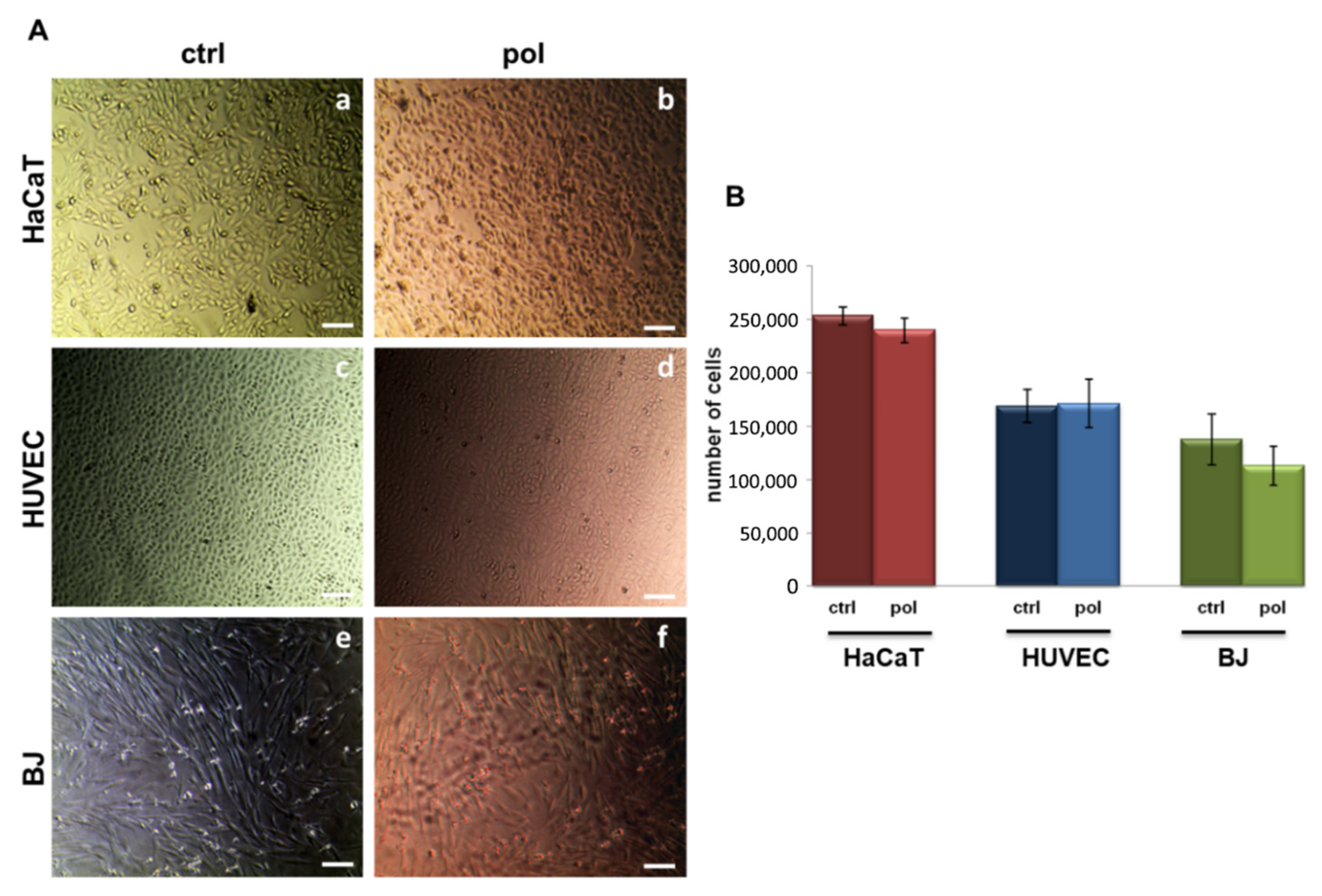 Polymers 15 00883 g005 Polymers 15 00883 g005