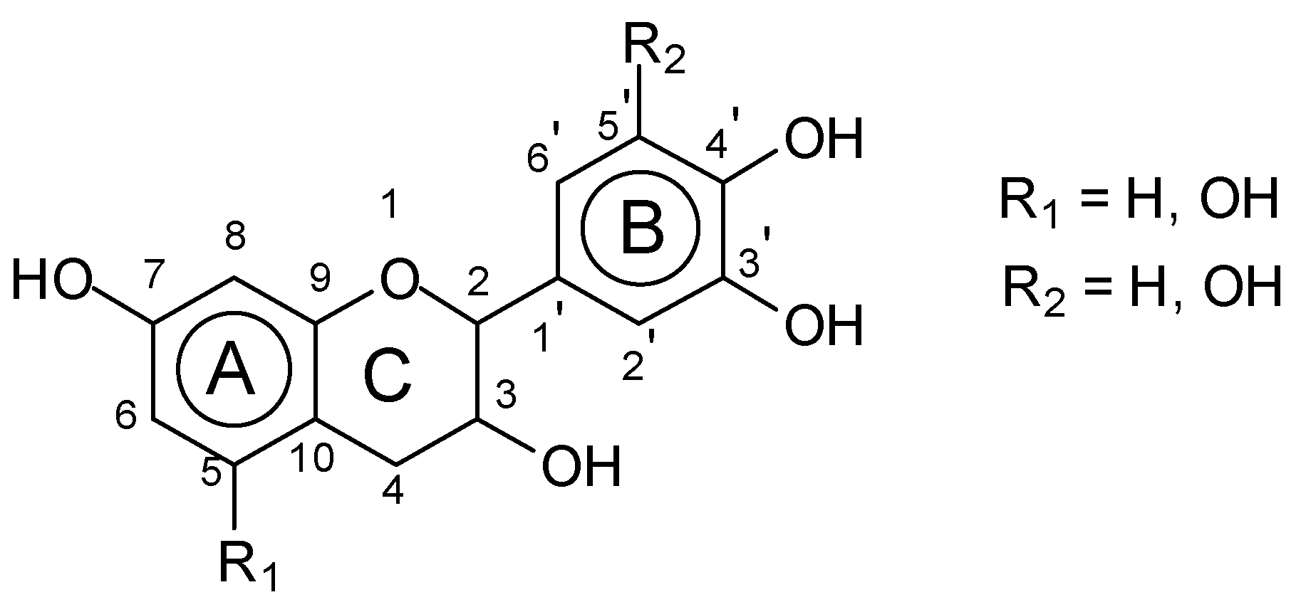 Polymers 15 00890 g001