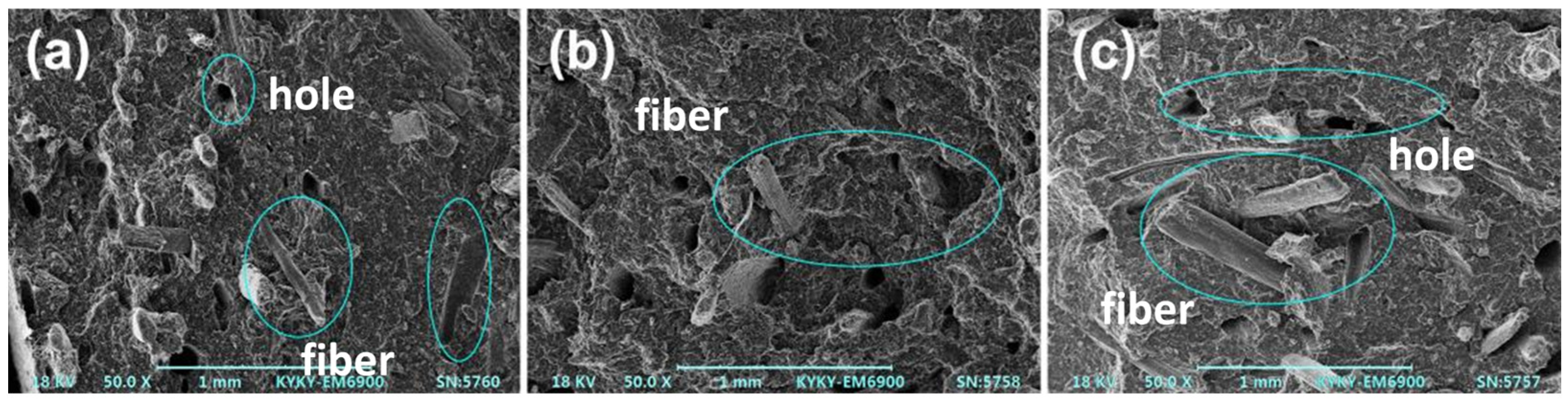 Polymers 15 00893 g009