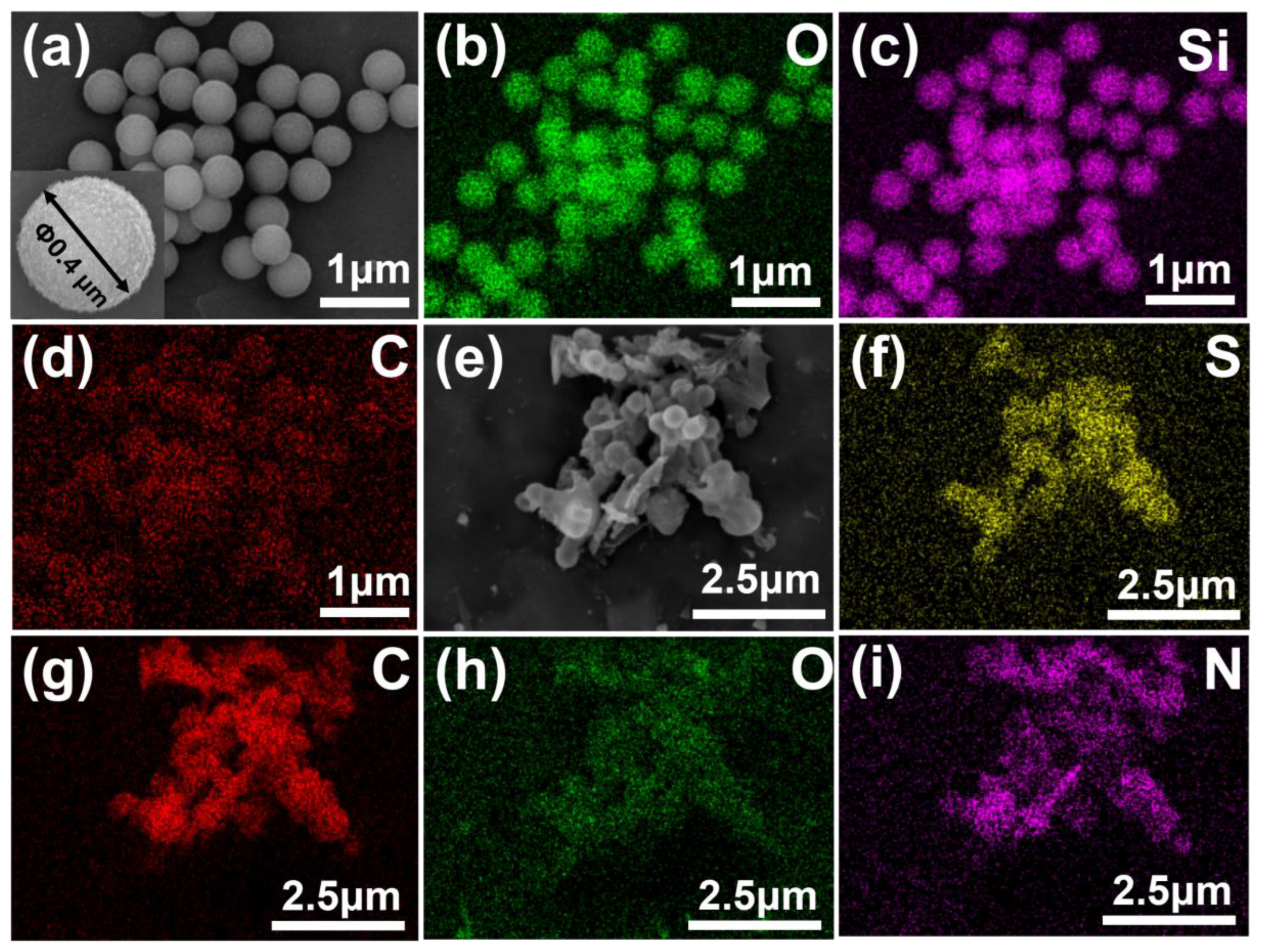 Polymers 15 00903 g003