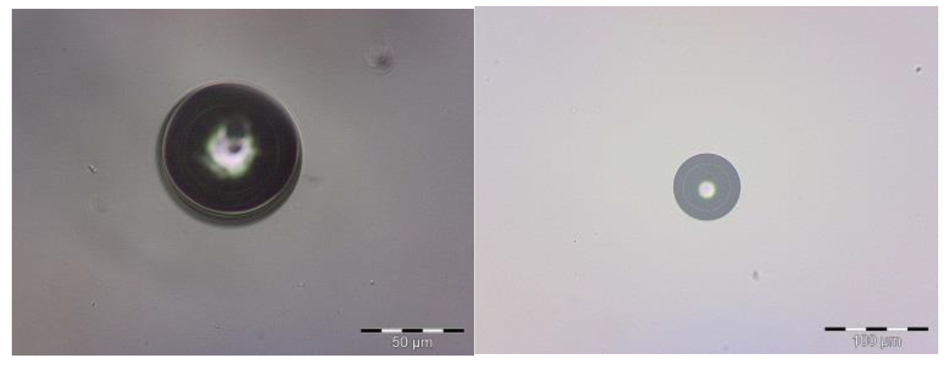 Polymers 15 00917 g001