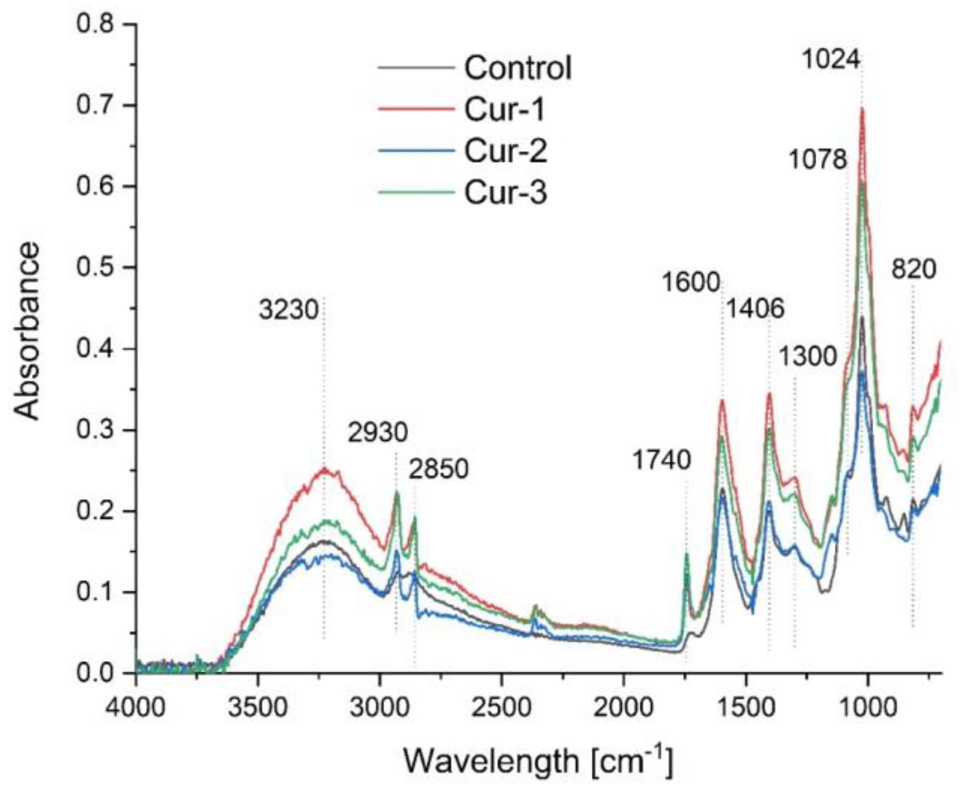 Polymers 15 00919 g002