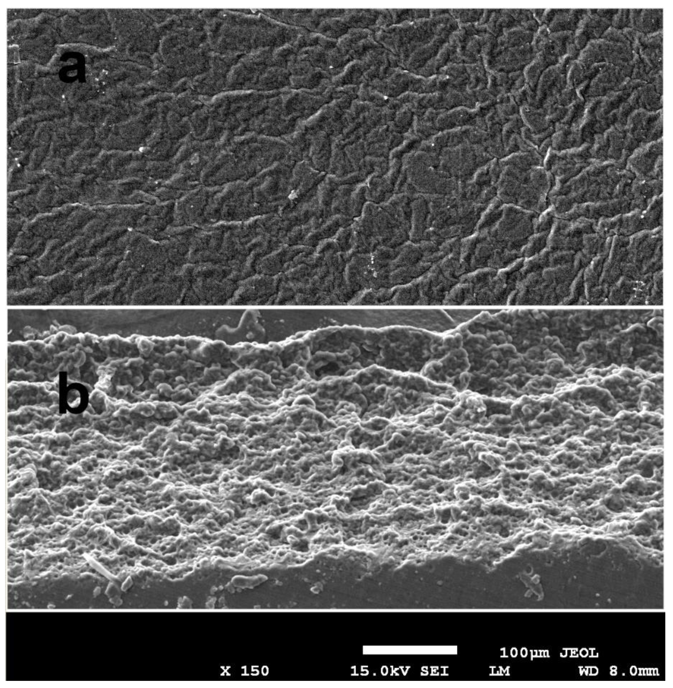Polymers 15 00919 g006
