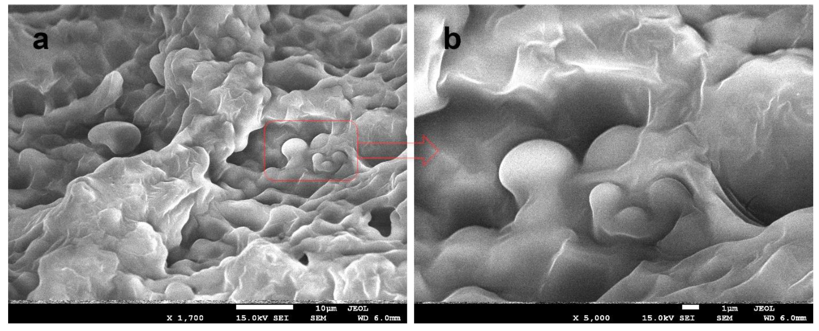 Polymers 15 00919 g007