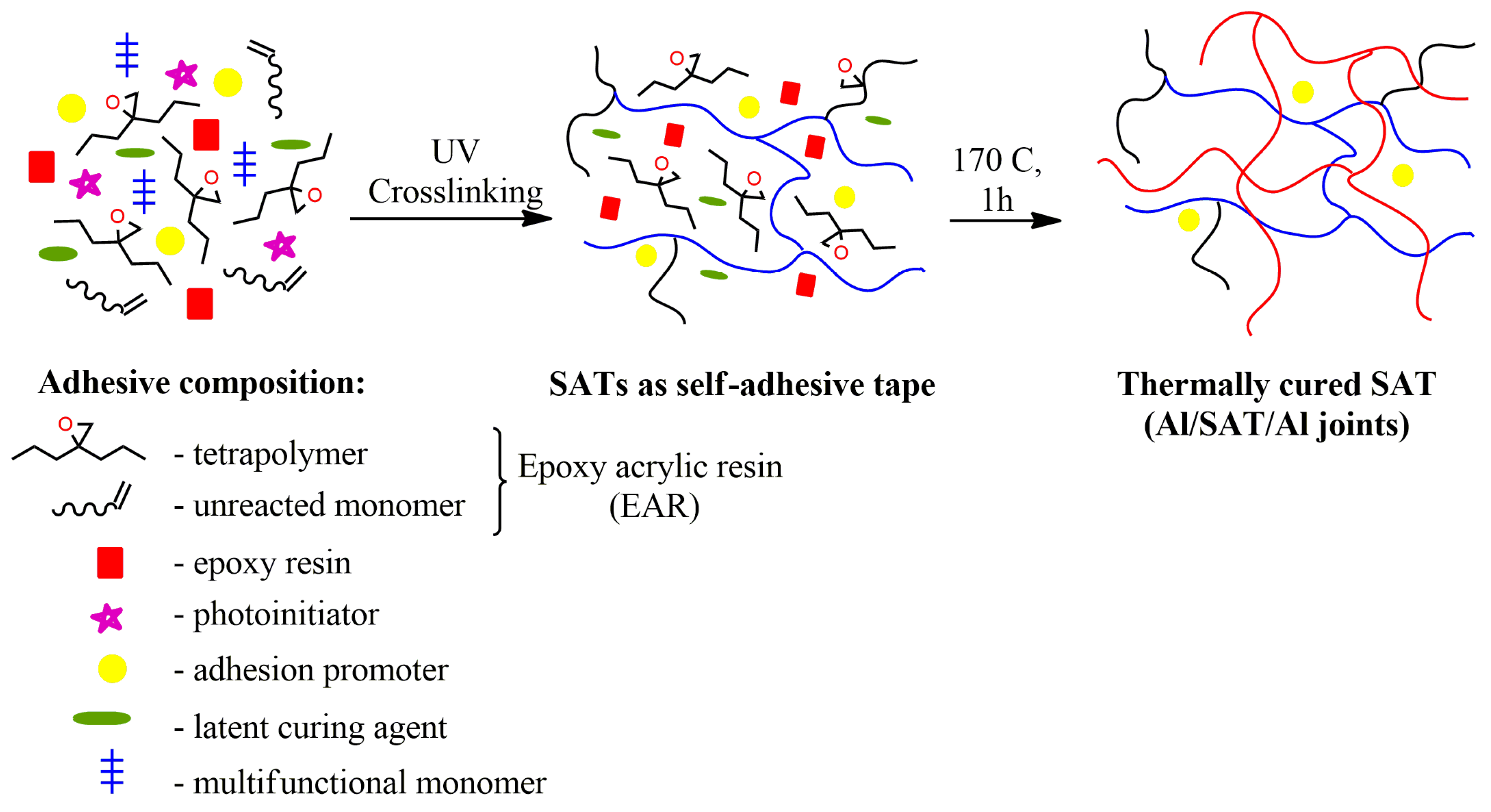 Polymers 15 00926 g002