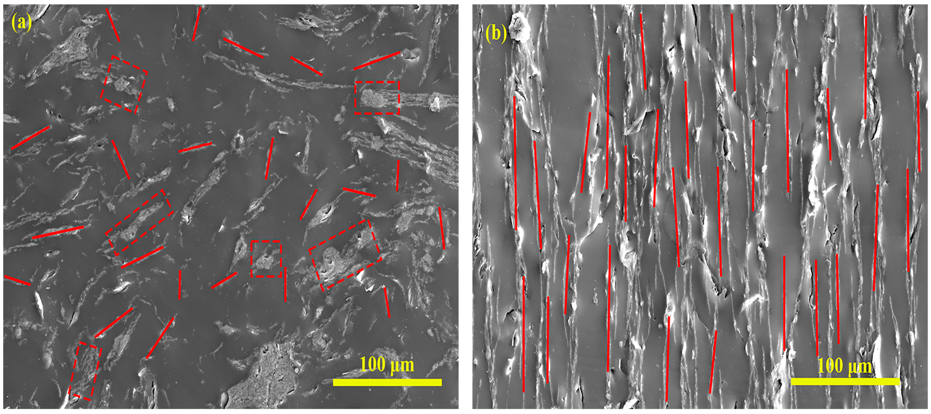 Polymers 15 00941 g013