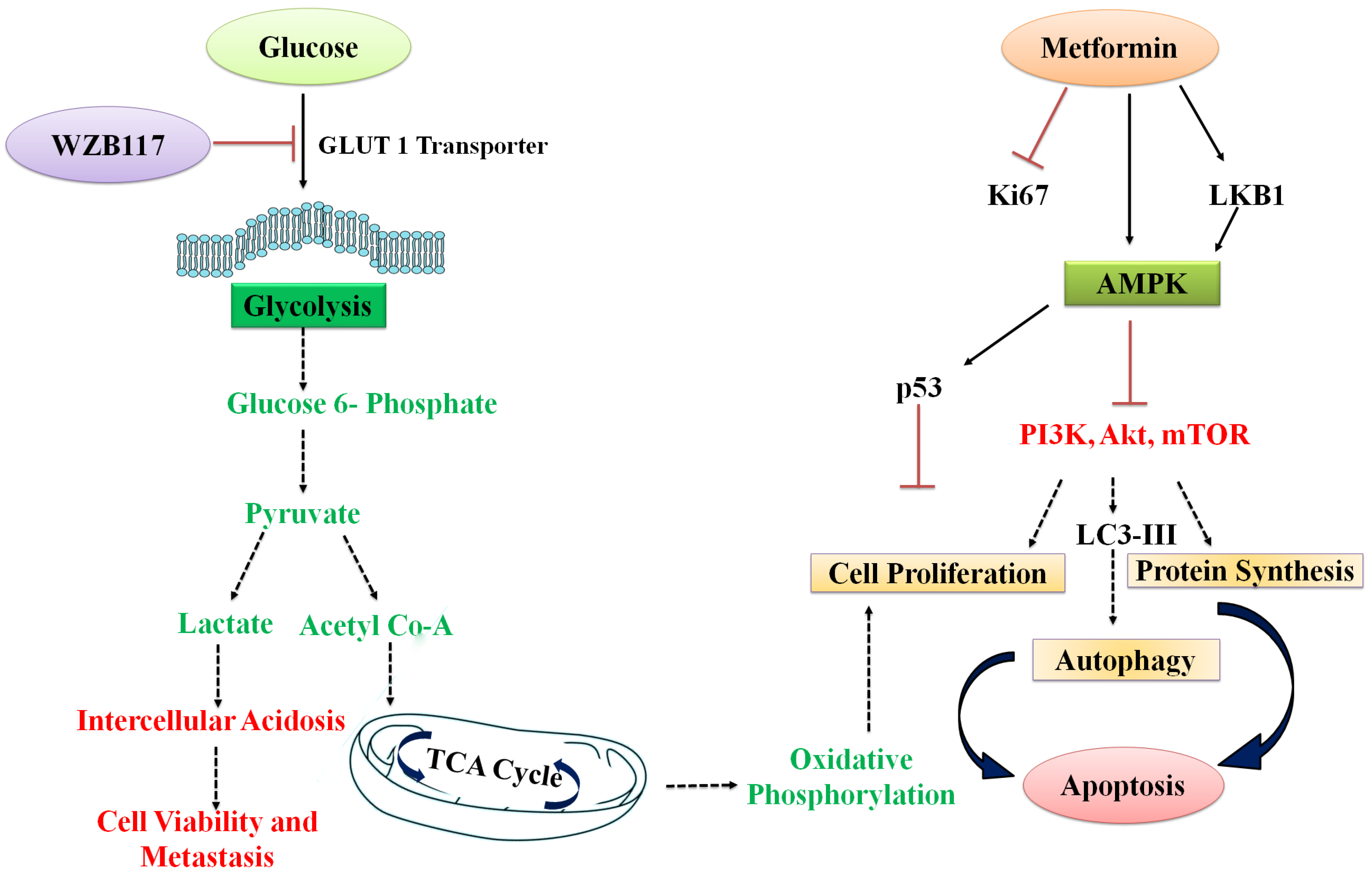 Polymers 15 00976 g001 Polymers 15 00976 g001