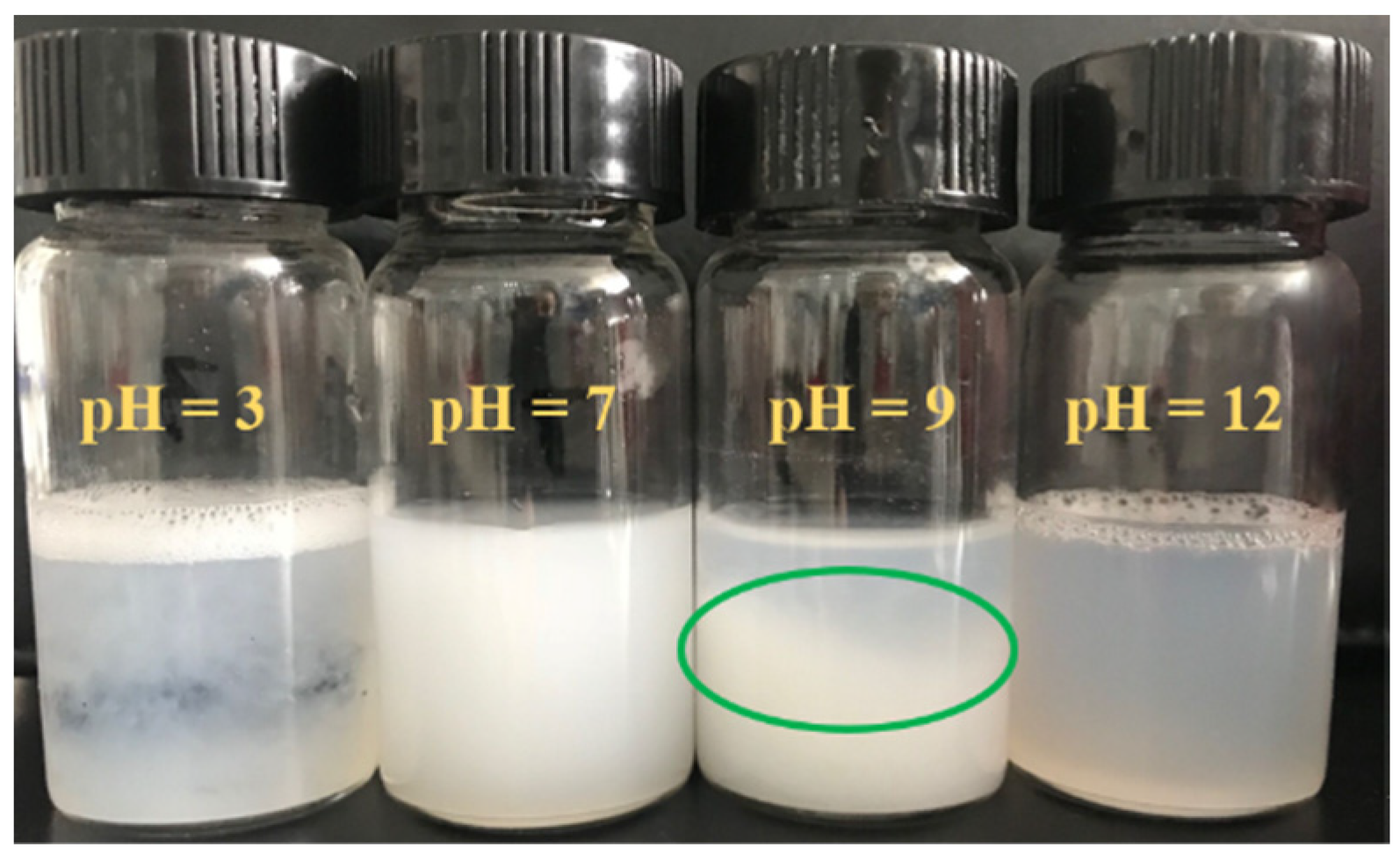 Polymers 15 00981 g002