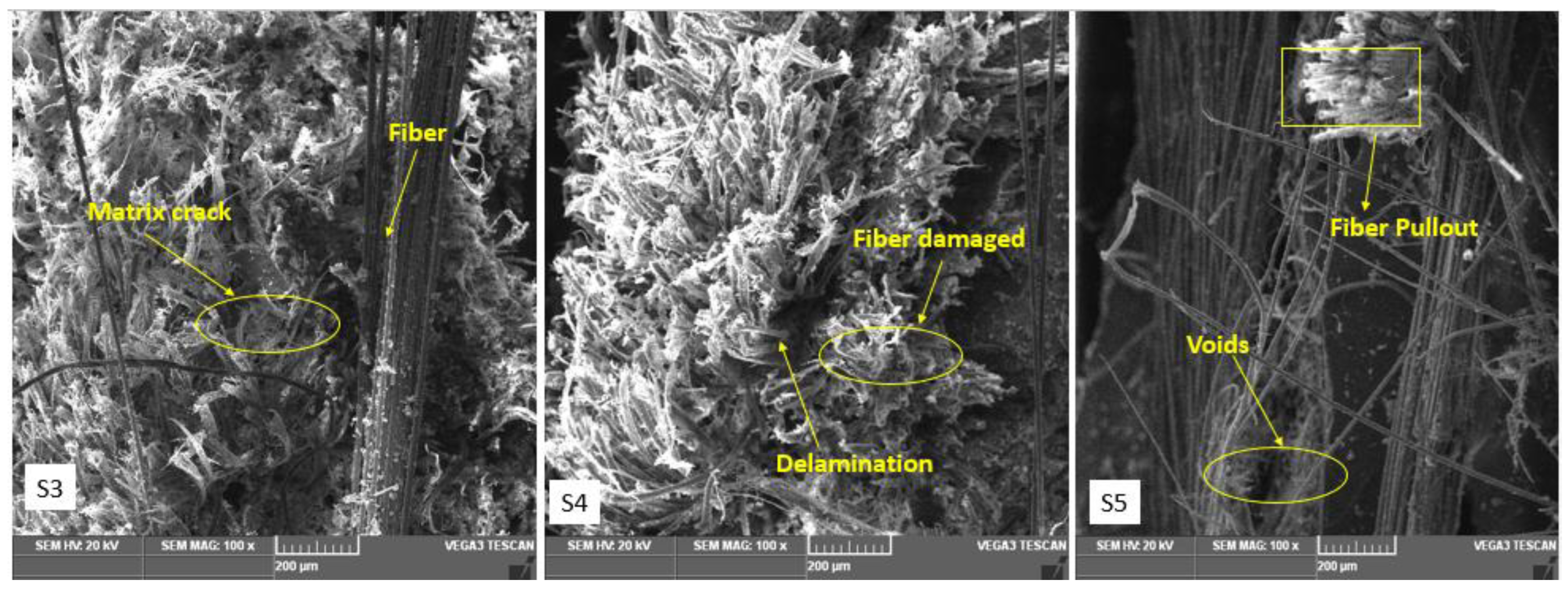 Polymers 15 00985 g014a