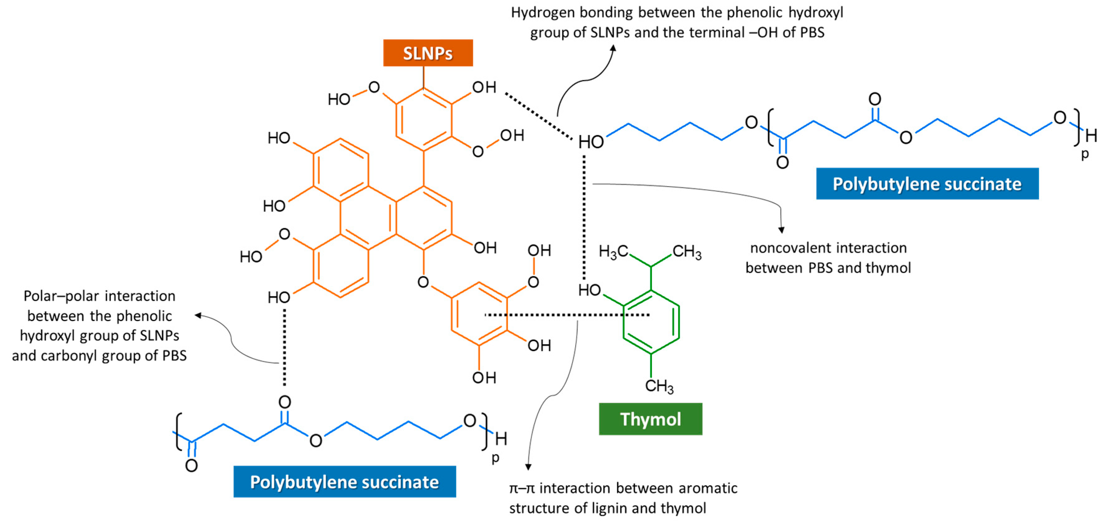 Polymers 15 00989 g003