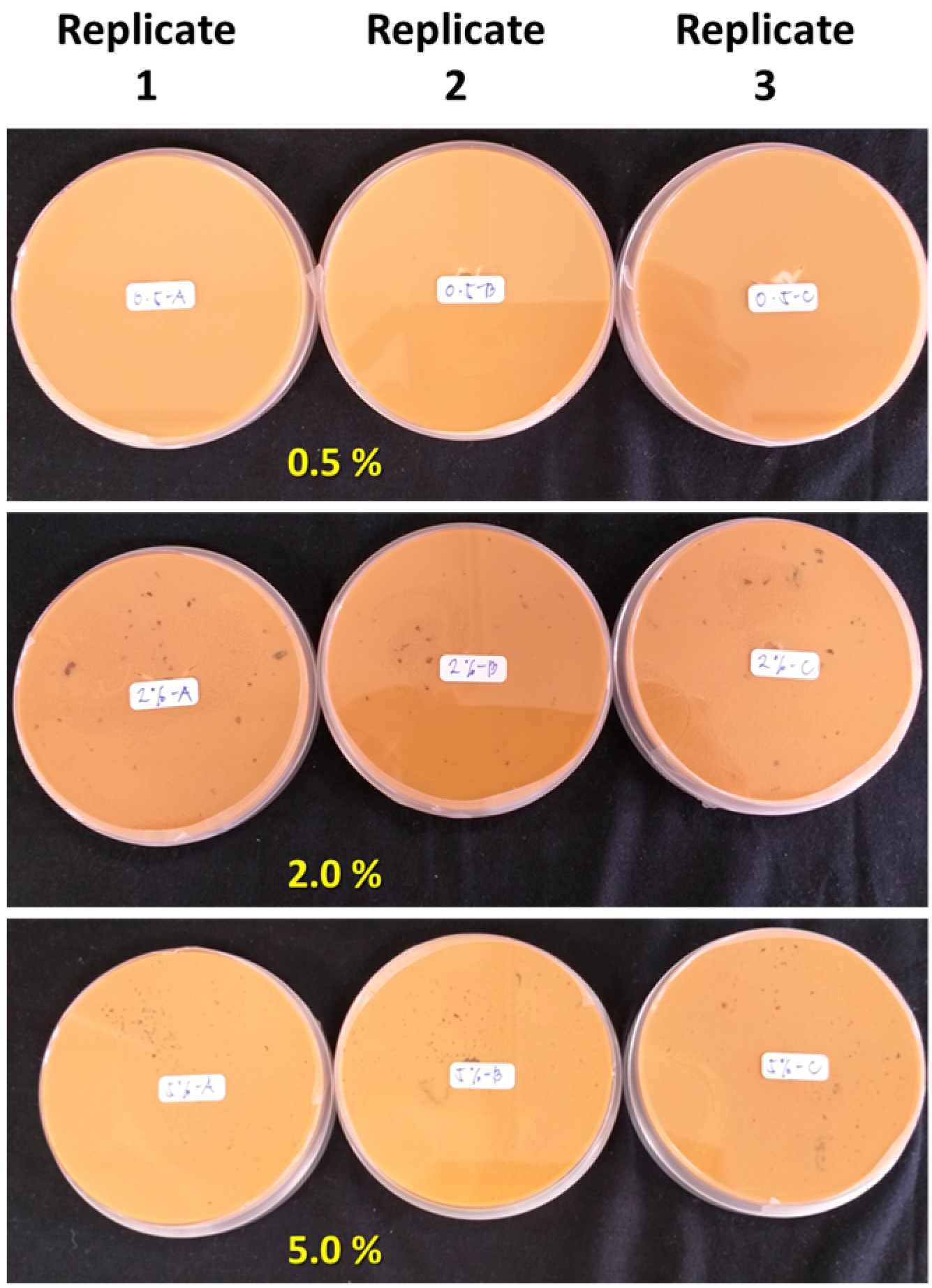 Polymers 15 00989 g006
