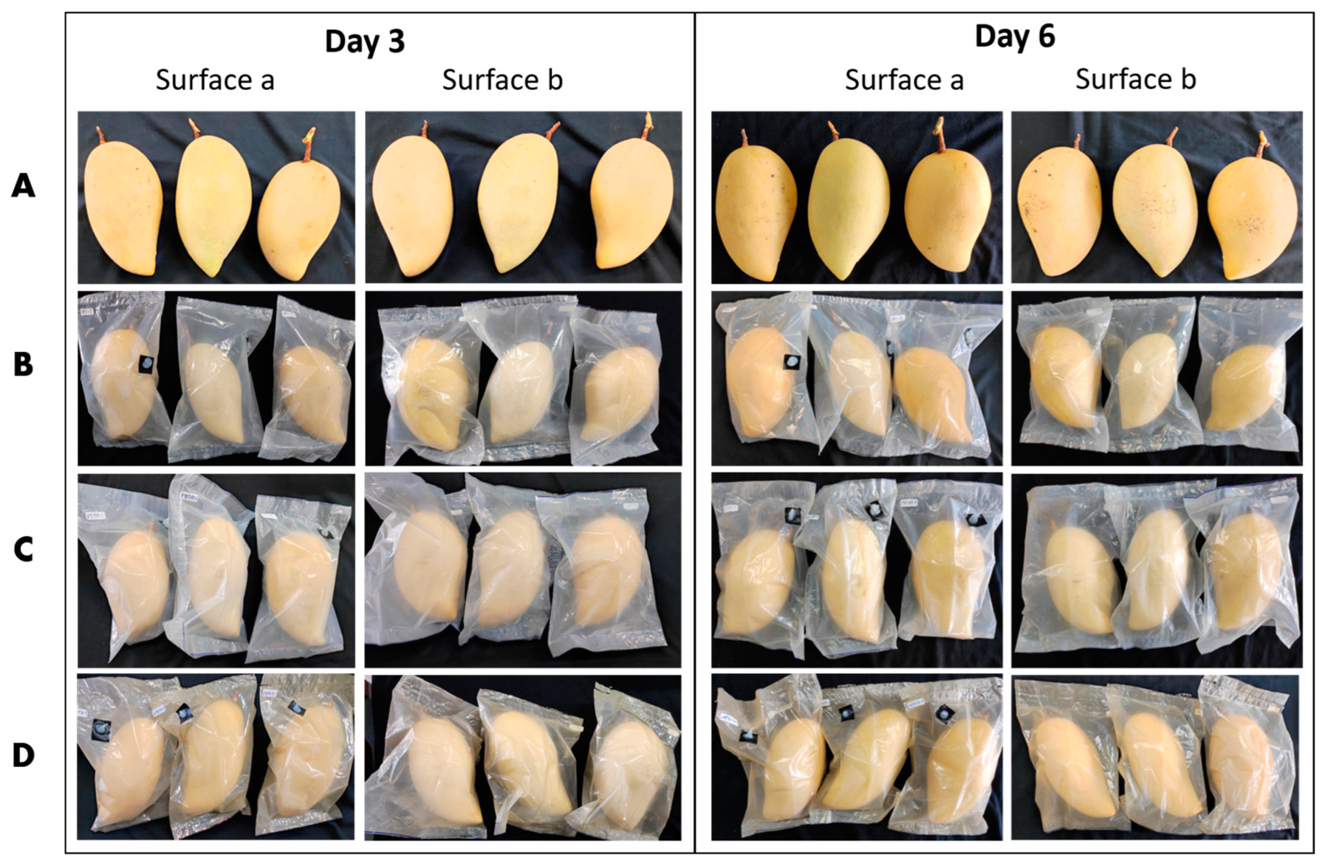 Polymers 15 00989 g008