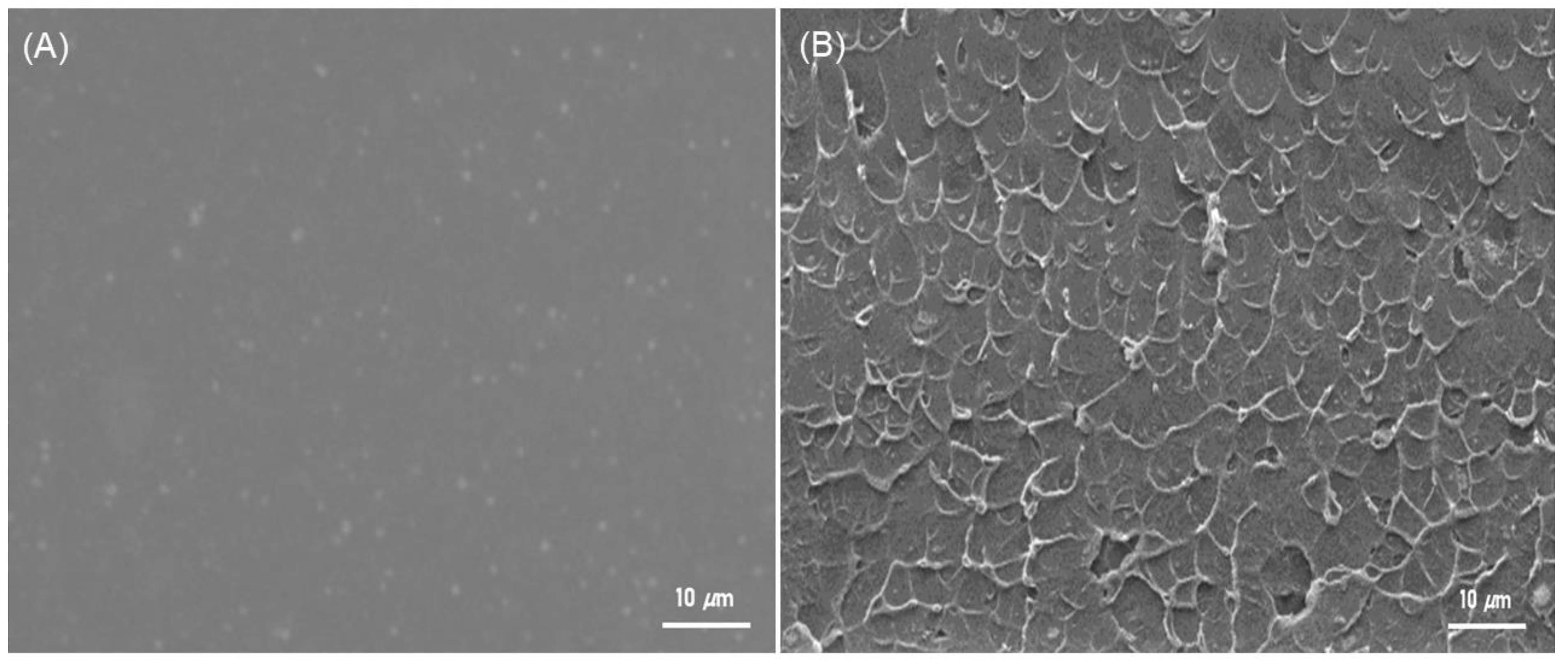 Polymers 15 01011 g007 Polymers 15 01011 g007