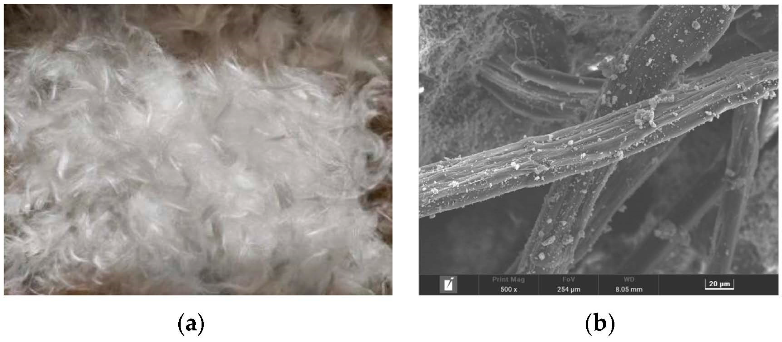 Polymers 15 01013 g001